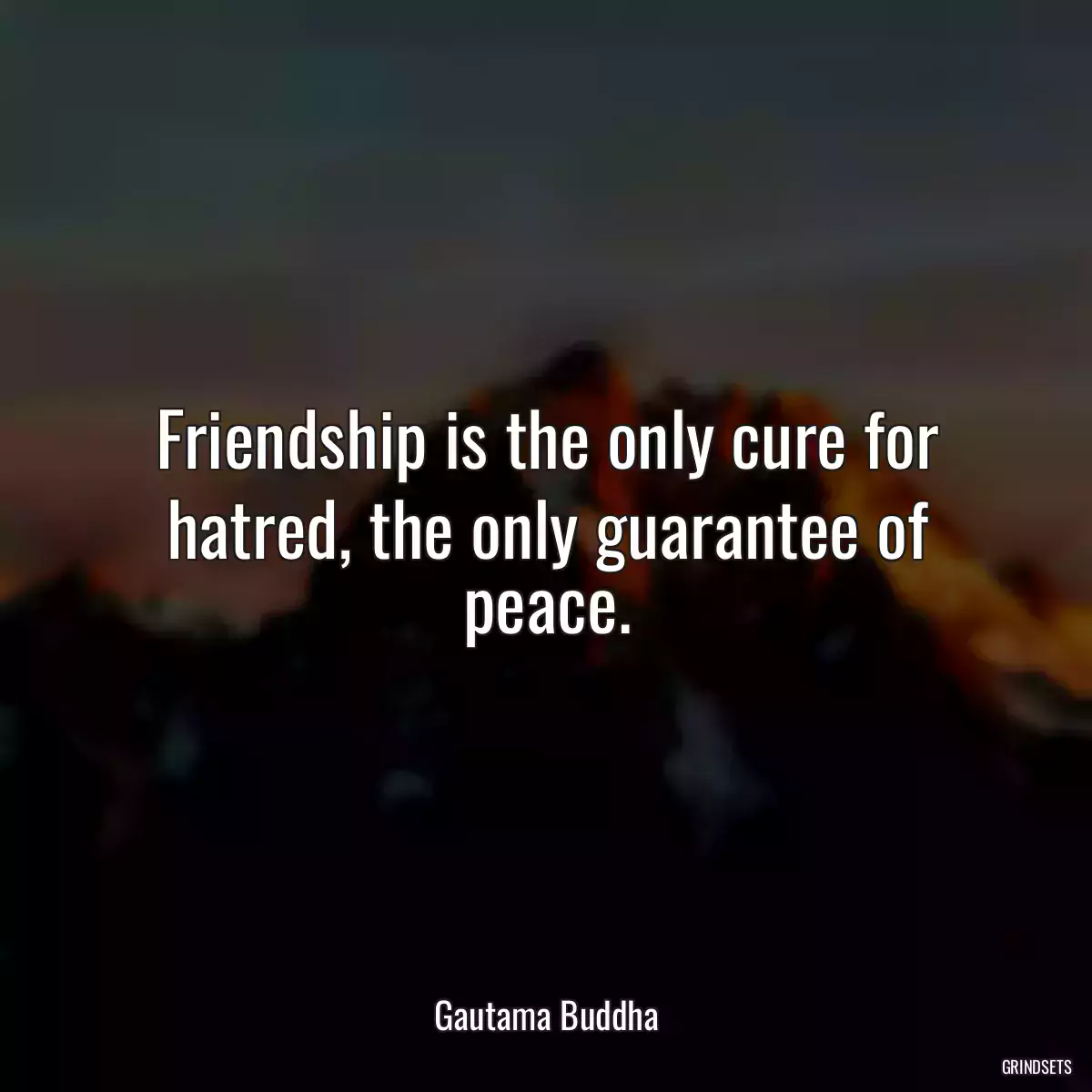 Friendship is the only cure for hatred, the only guarantee of peace.