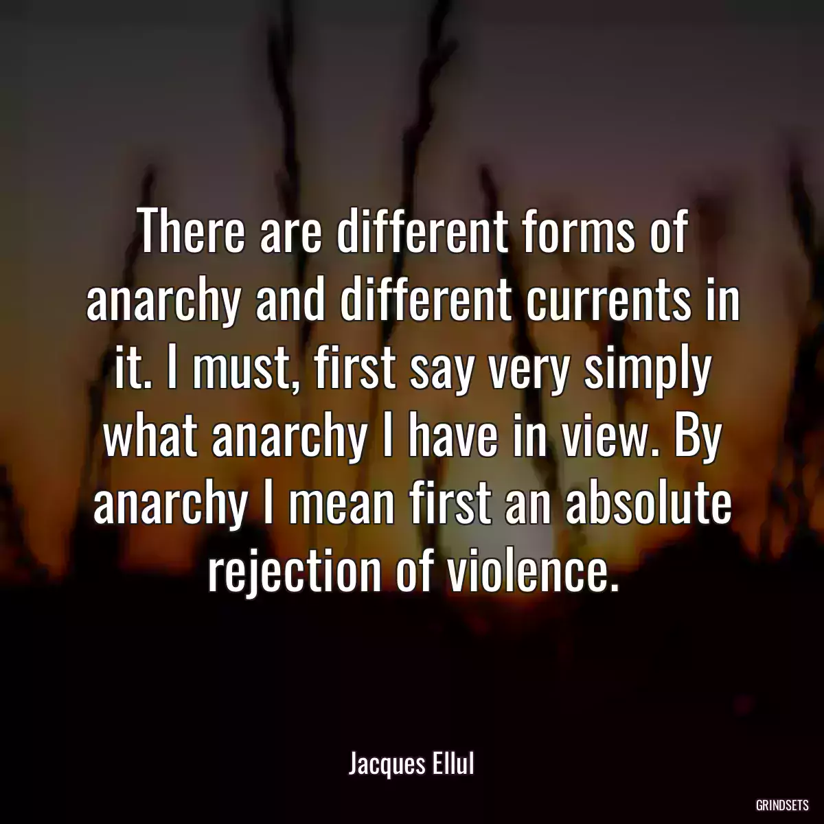 There are different forms of anarchy and different currents in it. I must, first say very simply what anarchy I have in view. By anarchy I mean first an absolute rejection of violence.