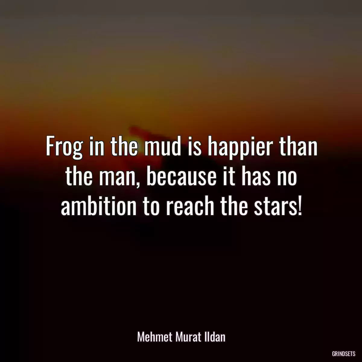 Frog in the mud is happier than the man, because it has no ambition to reach the stars!