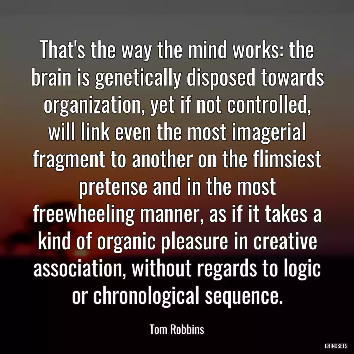 That\'s the way the mind works: the brain is genetically disposed towards organization, yet if not controlled, will link even the most imagerial fragment to another on the flimsiest pretense and in the most freewheeling manner, as if it takes a kind of organic pleasure in creative association, without regards to logic or chronological sequence.