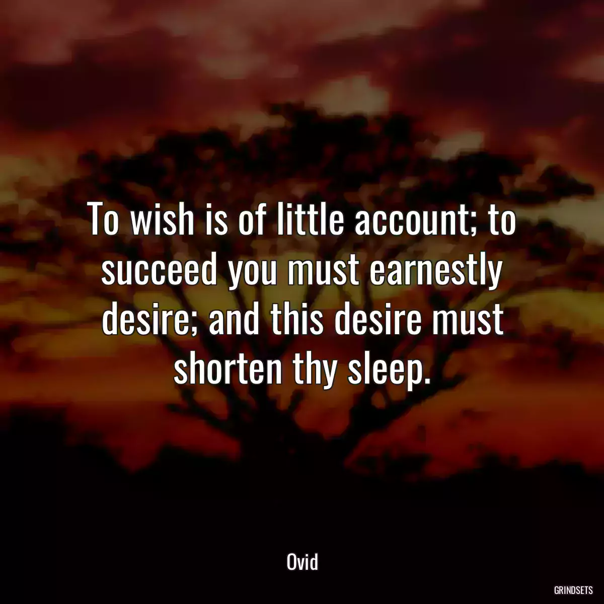 To wish is of little account; to succeed you must earnestly desire; and this desire must shorten thy sleep.