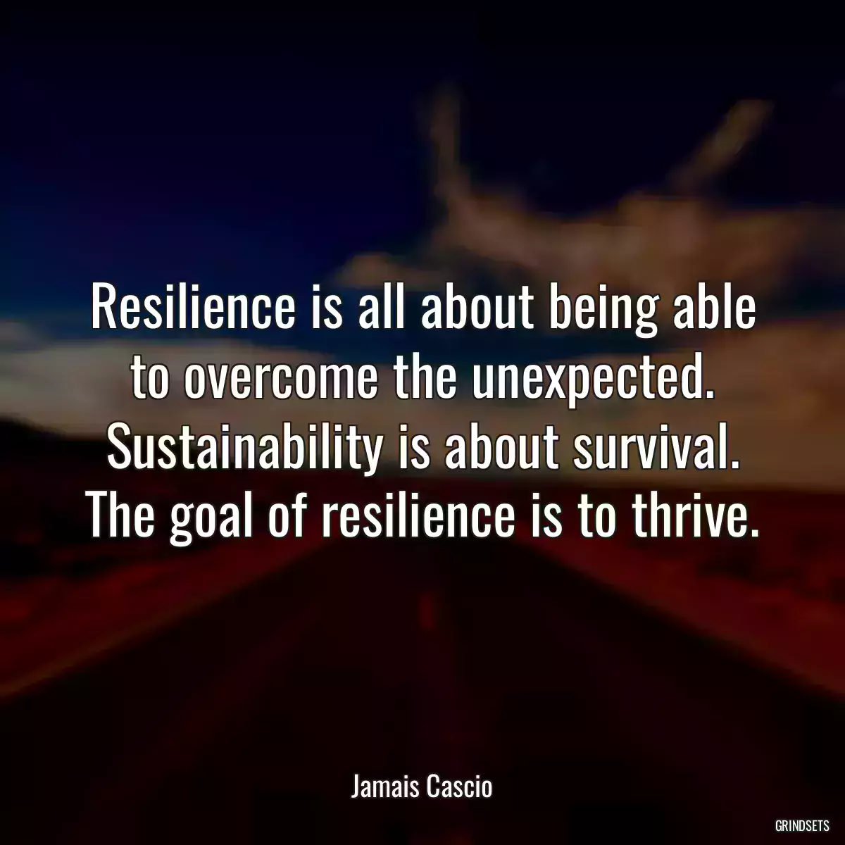 Resilience is all about being able to overcome the unexpected. Sustainability is about survival. The goal of resilience is to thrive.