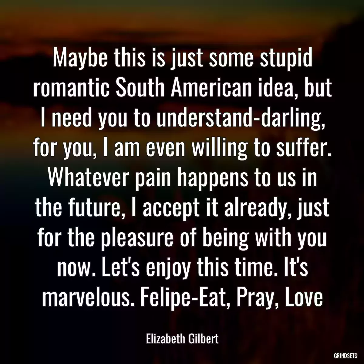 Maybe this is just some stupid romantic South American idea, but I need you to understand-darling, for you, I am even willing to suffer. Whatever pain happens to us in the future, I accept it already, just for the pleasure of being with you now. Let\'s enjoy this time. It\'s marvelous. Felipe-Eat, Pray, Love