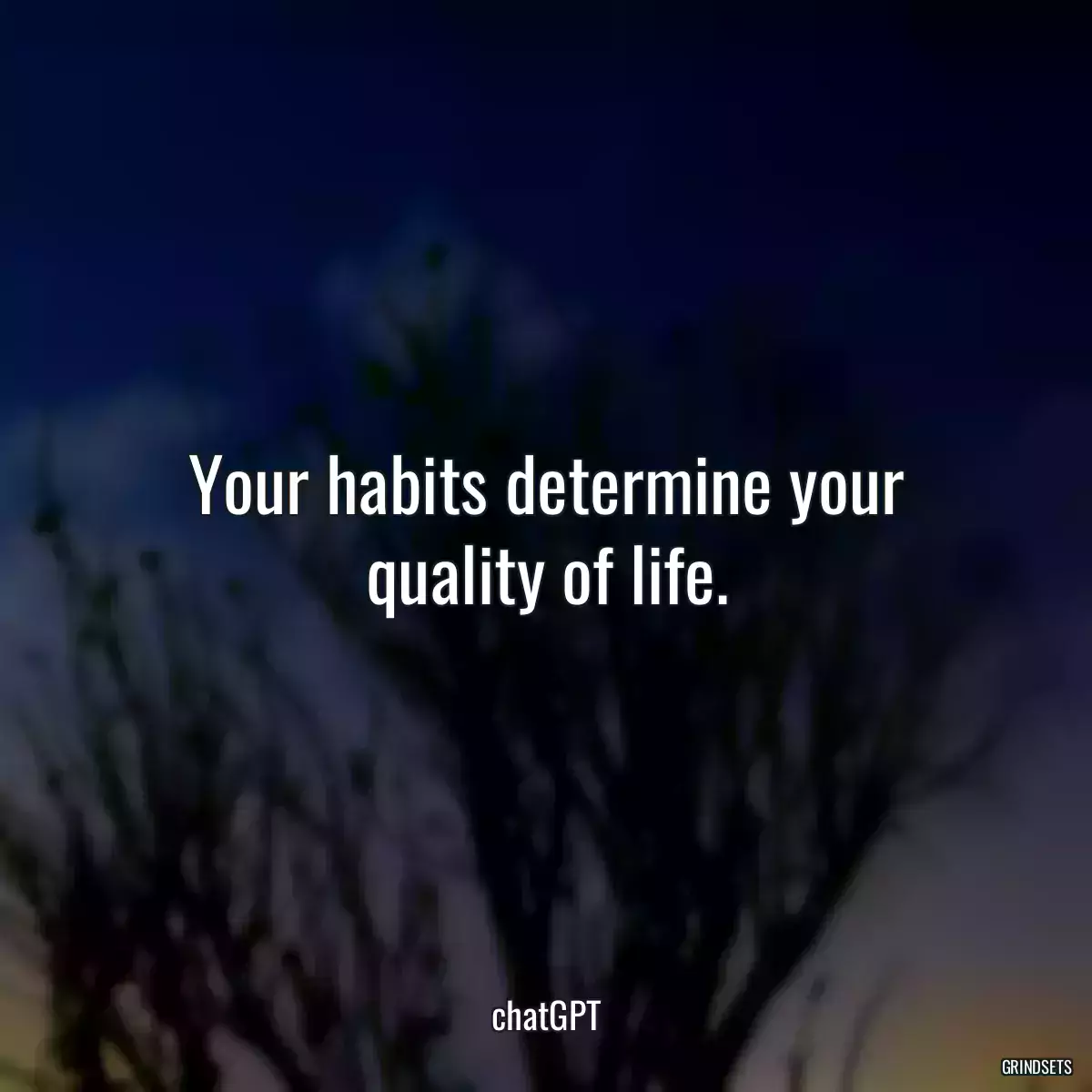 Your habits determine your quality of life.