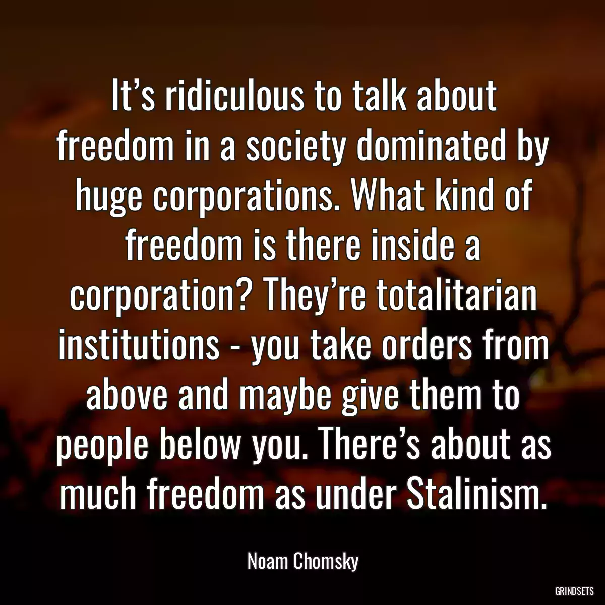 It’s ridiculous to talk about freedom in a society dominated by huge corporations. What kind of freedom is there inside a corporation? They’re totalitarian institutions - you take orders from above and maybe give them to people below you. There’s about as much freedom as under Stalinism.