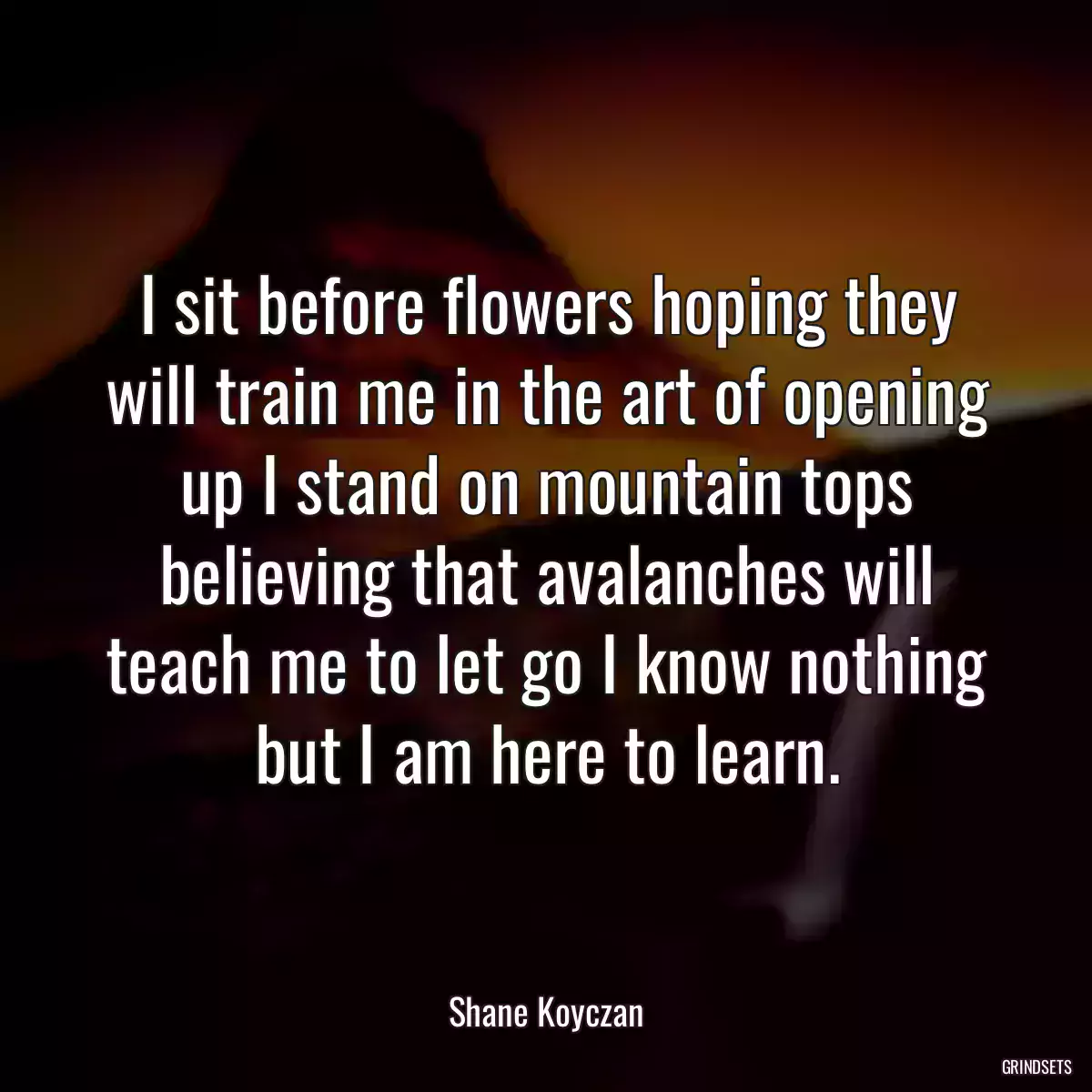 I sit before flowers hoping they will train me in the art of opening up I stand on mountain tops believing that avalanches will teach me to let go I know nothing but I am here to learn.