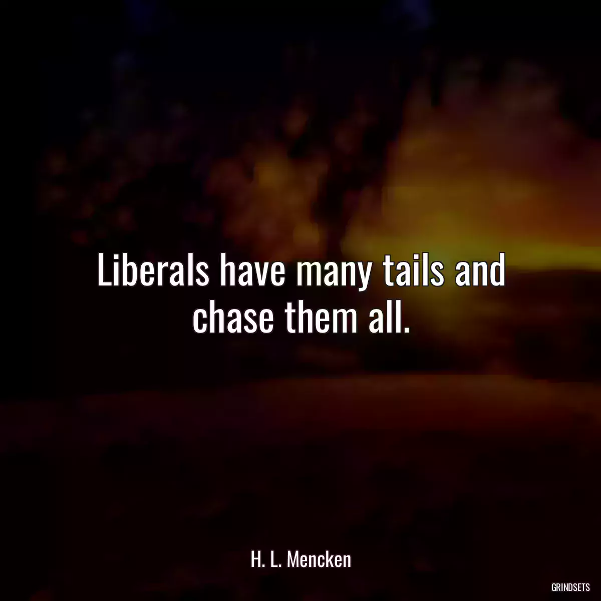 Liberals have many tails and chase them all.