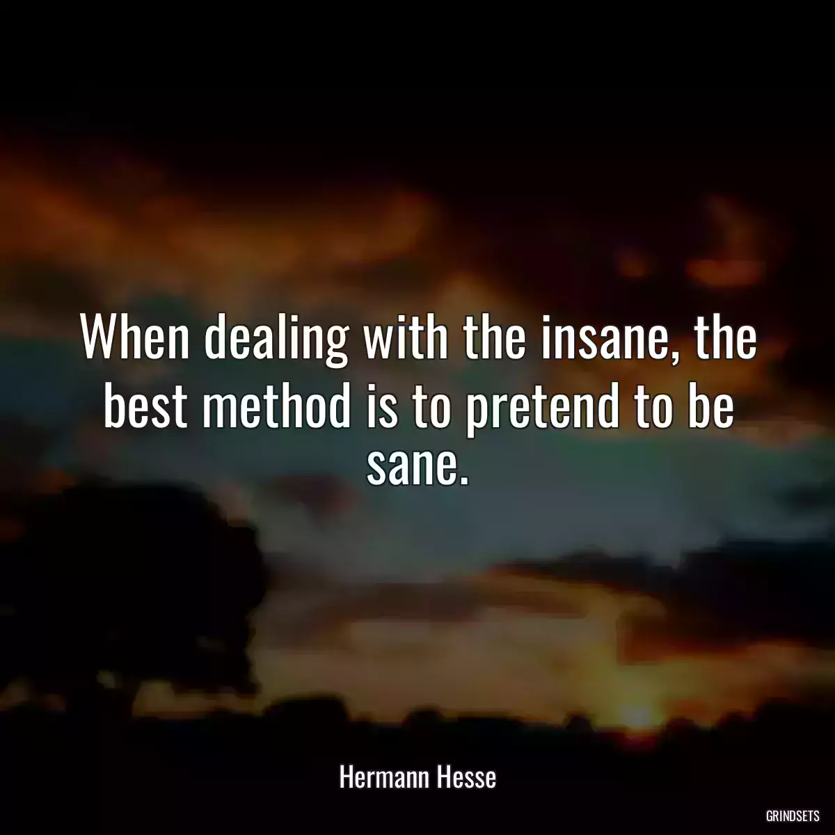 When dealing with the insane, the best method is to pretend to be sane.