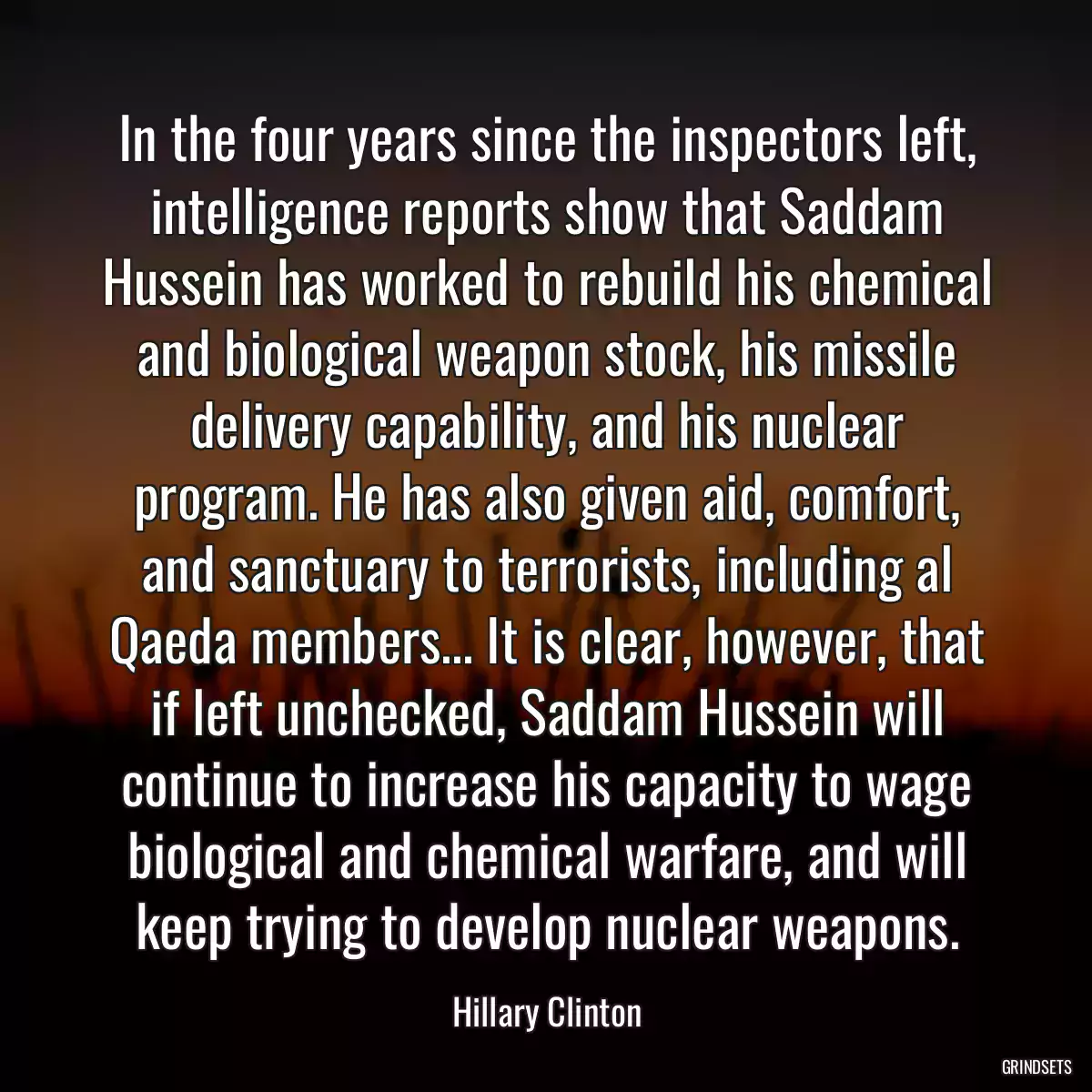 In the four years since the inspectors left, intelligence reports show that Saddam Hussein has worked to rebuild his chemical and biological weapon stock, his missile delivery capability, and his nuclear program. He has also given aid, comfort, and sanctuary to terrorists, including al Qaeda members... It is clear, however, that if left unchecked, Saddam Hussein will continue to increase his capacity to wage biological and chemical warfare, and will keep trying to develop nuclear weapons.