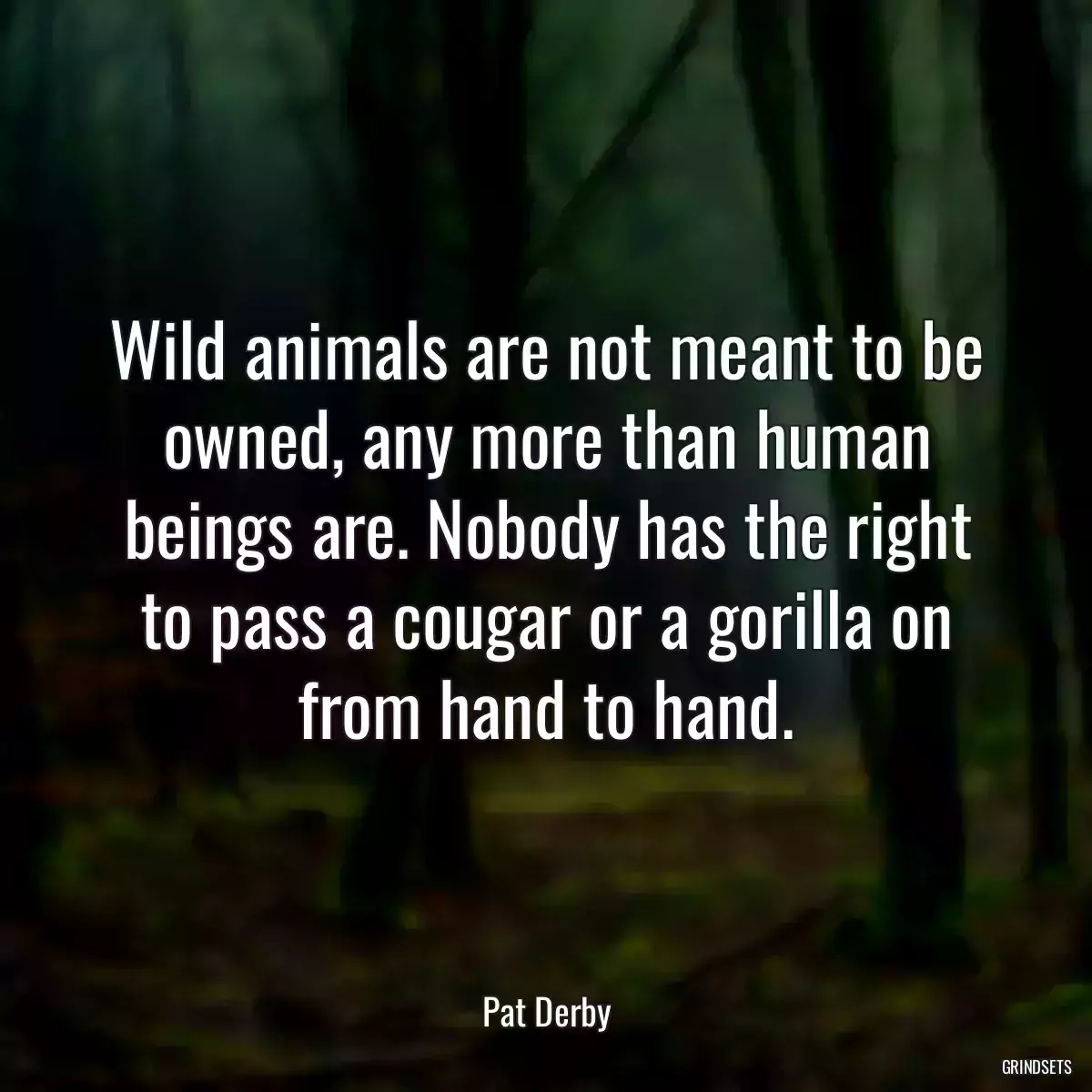 Wild animals are not meant to be owned, any more than human beings are. Nobody has the right to pass a cougar or a gorilla on from hand to hand.