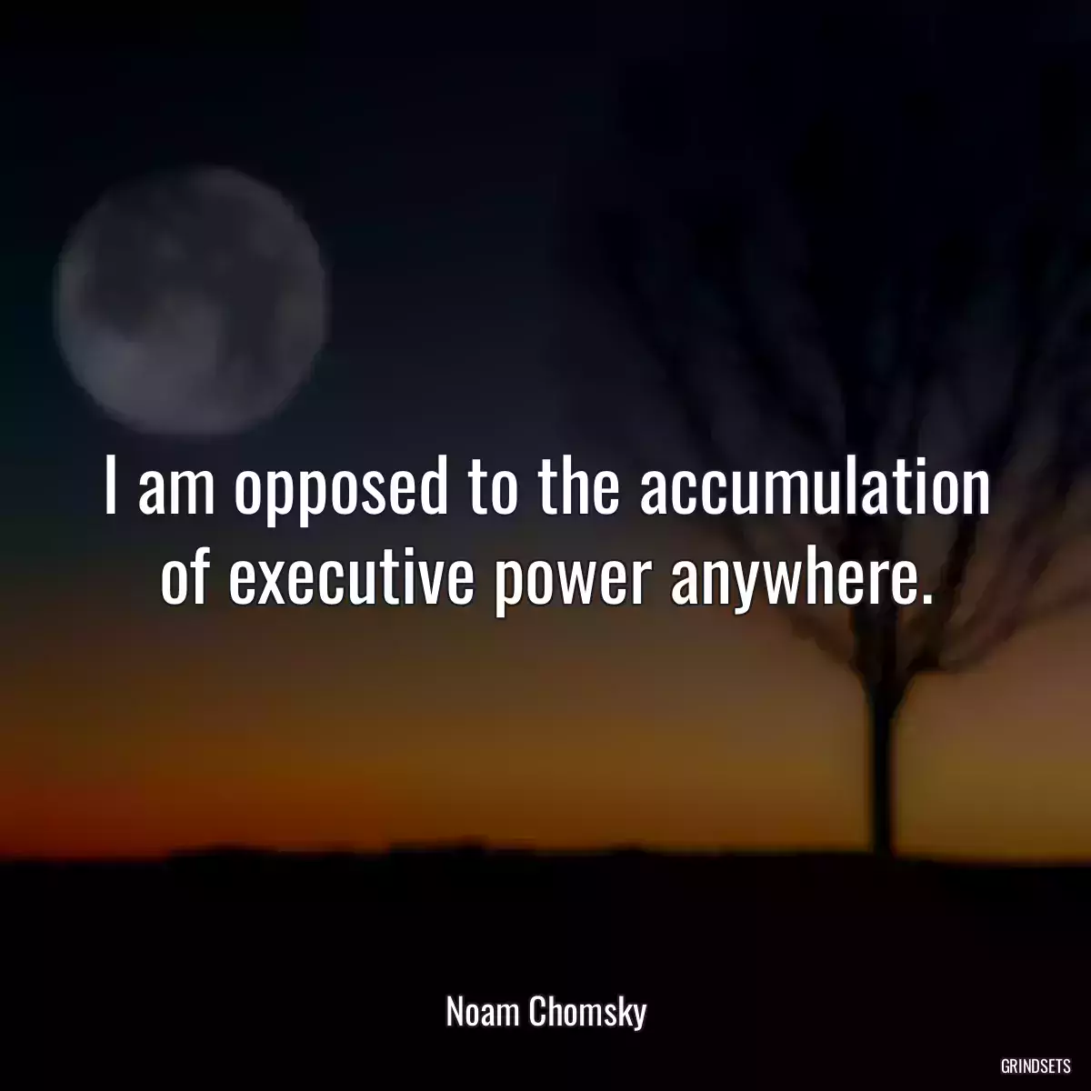 I am opposed to the accumulation of executive power anywhere.