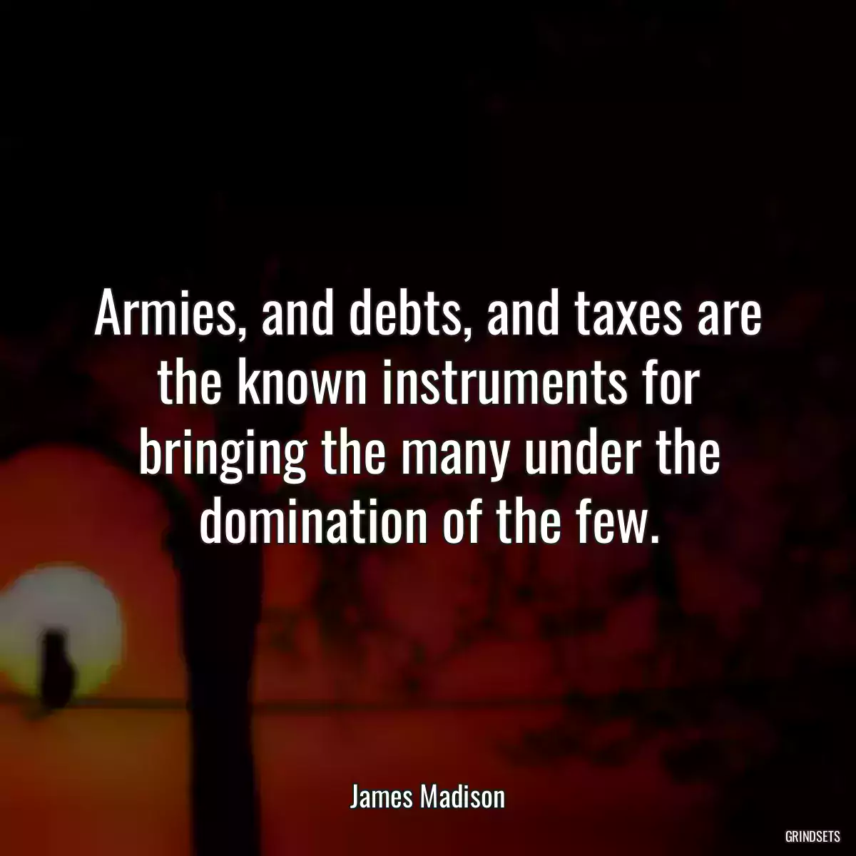 Armies, and debts, and taxes are the known instruments for bringing the many under the domination of the few.