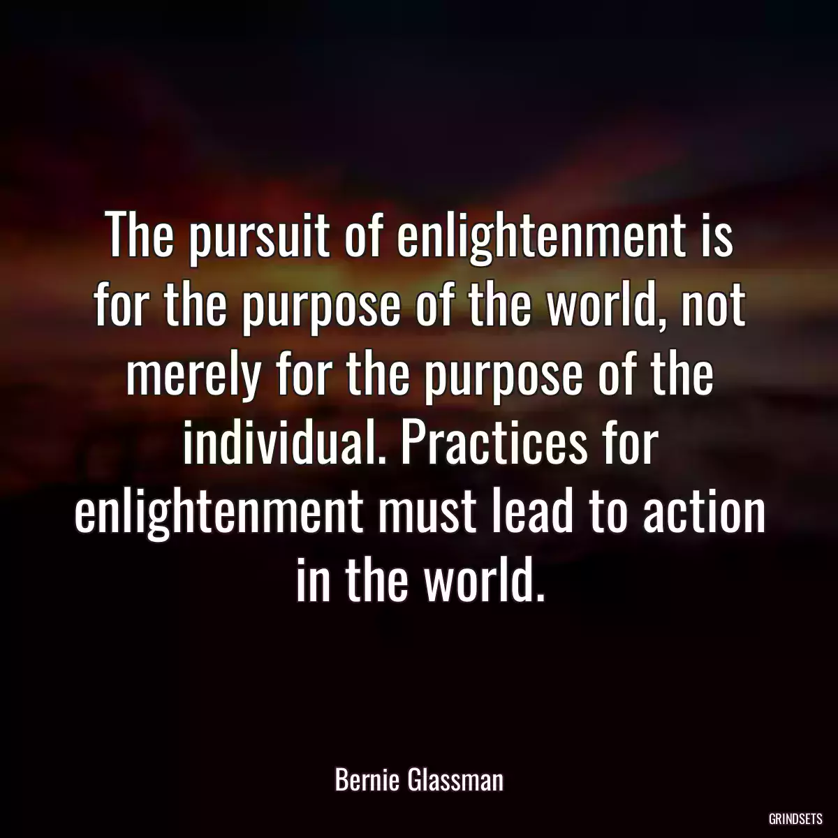 The pursuit of enlightenment is for the purpose of the world, not merely for the purpose of the individual. Practices for enlightenment must lead to action in the world.