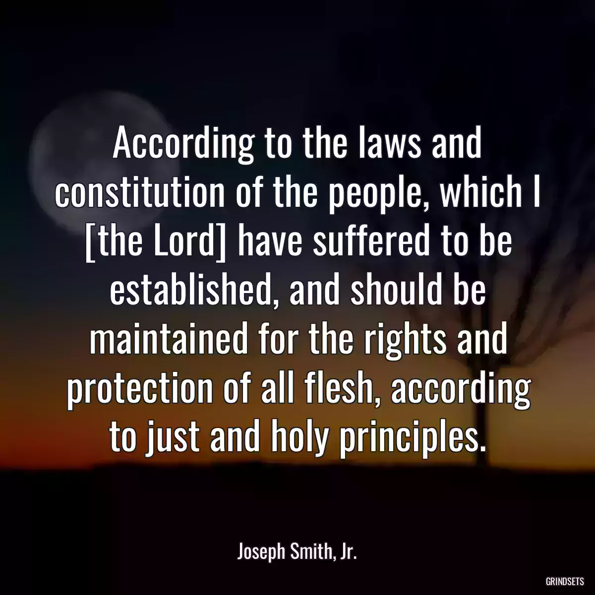 According to the laws and constitution of the people, which I [the Lord] have suffered to be established, and should be maintained for the rights and protection of all flesh, according to just and holy principles.