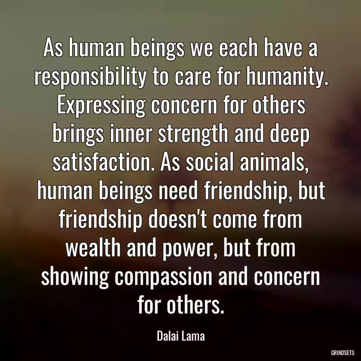 As human beings we each have a responsibility to care for humanity. Expressing concern for others brings inner strength and deep satisfaction. As social animals, human beings need friendship, but friendship doesn\'t come from wealth and power, but from showing compassion and concern for others.