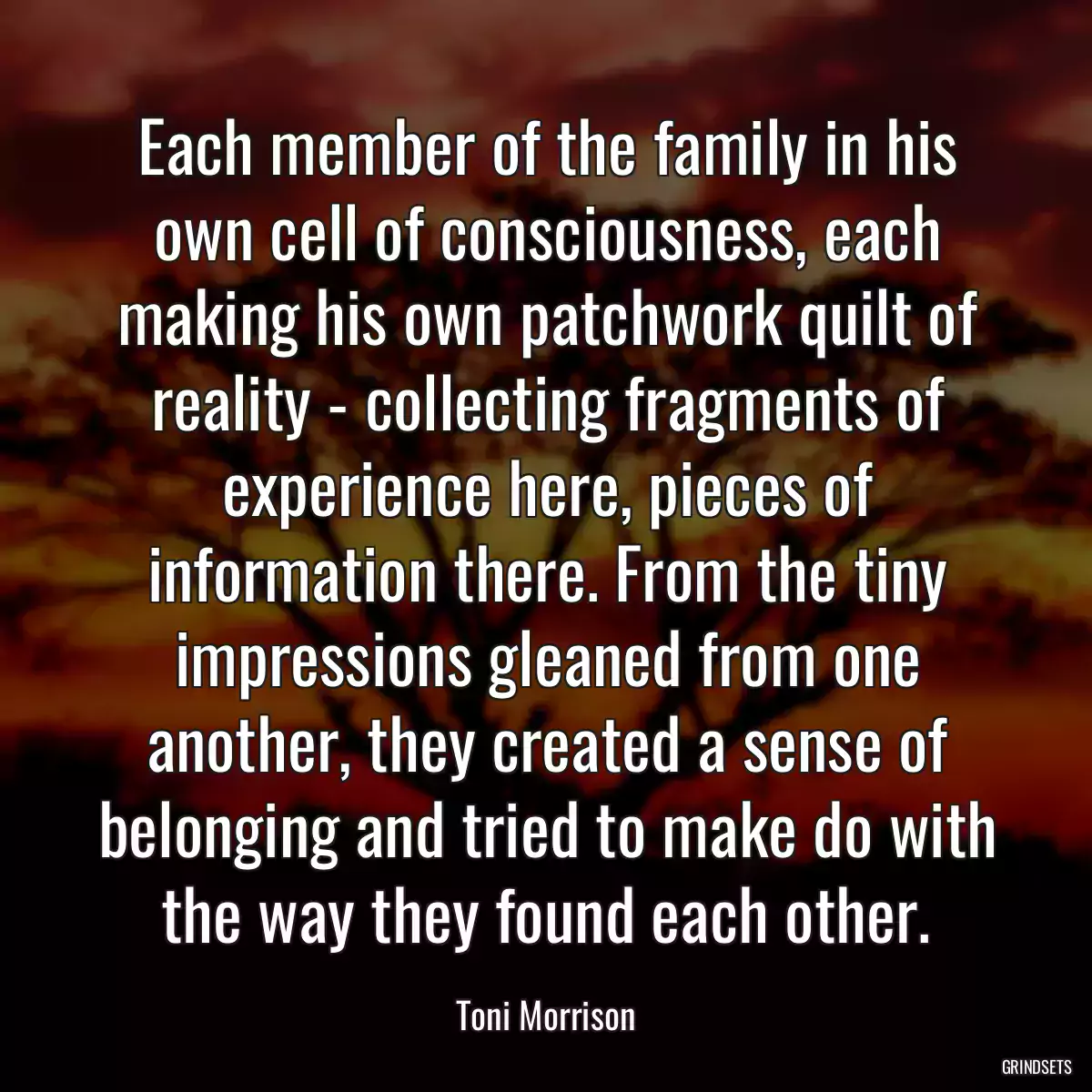 Each member of the family in his own cell of consciousness, each making his own patchwork quilt of reality - collecting fragments of experience here, pieces of information there. From the tiny impressions gleaned from one another, they created a sense of belonging and tried to make do with the way they found each other.