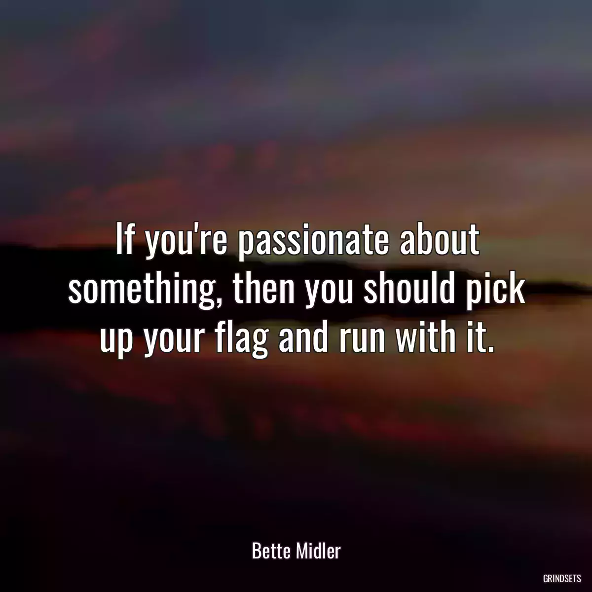 If you\'re passionate about something, then you should pick up your flag and run with it.