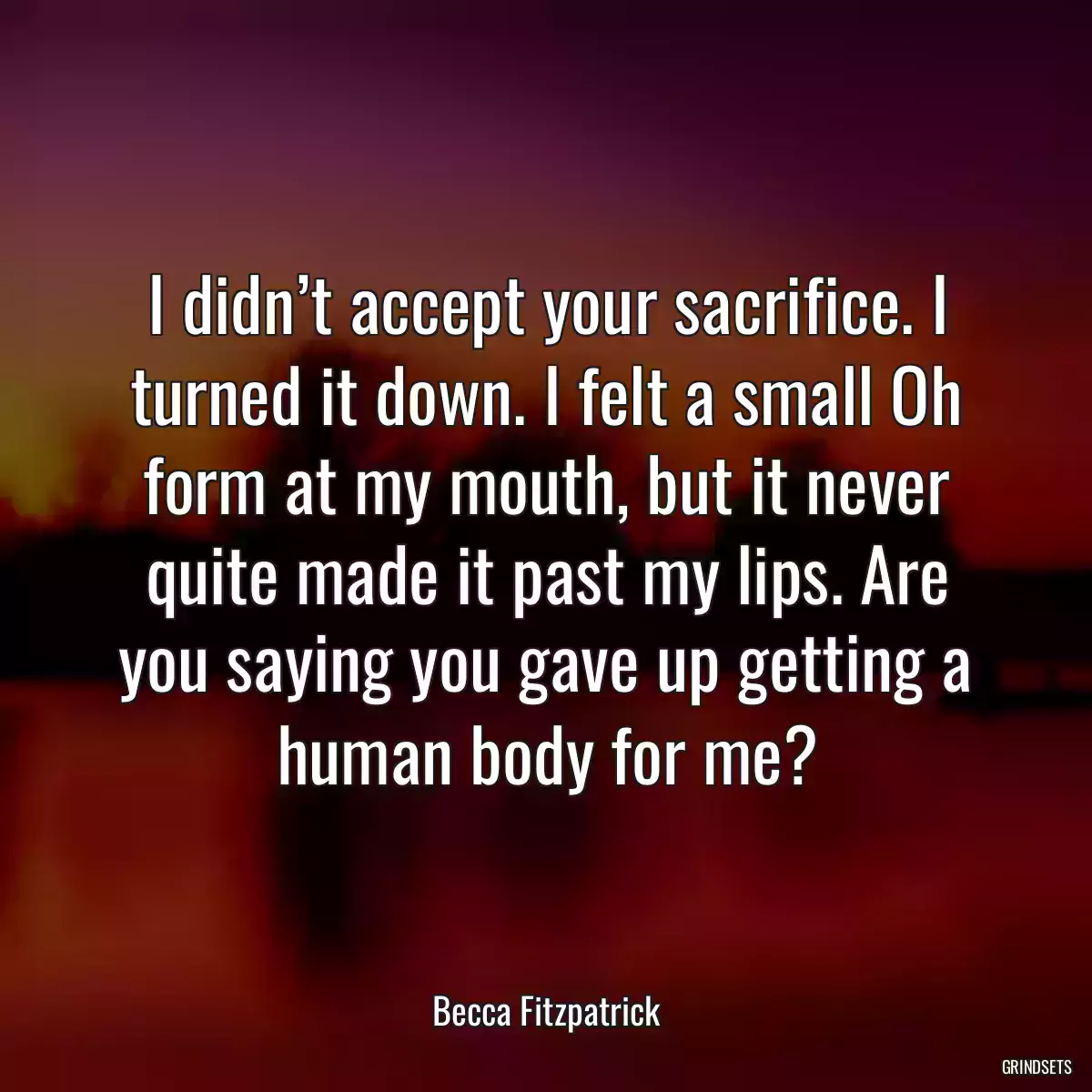 I didn’t accept your sacrifice. I turned it down. I felt a small Oh form at my mouth, but it never quite made it past my lips. Are you saying you gave up getting a human body for me?