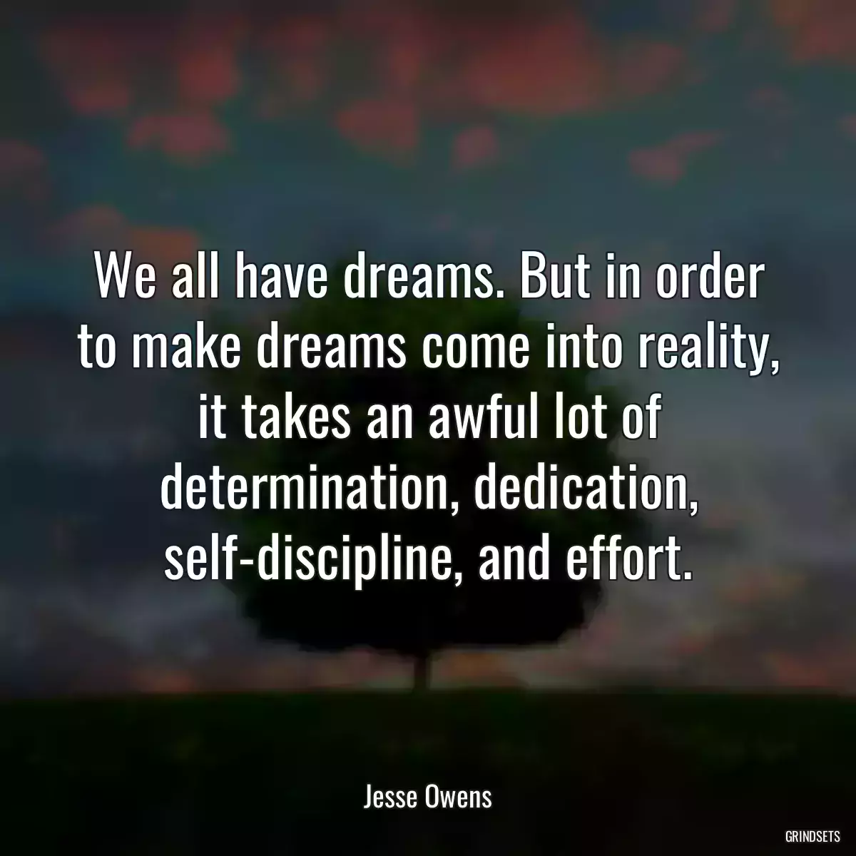 We all have dreams. But in order to make dreams come into reality, it takes an awful lot of determination, dedication, self-discipline, and effort.