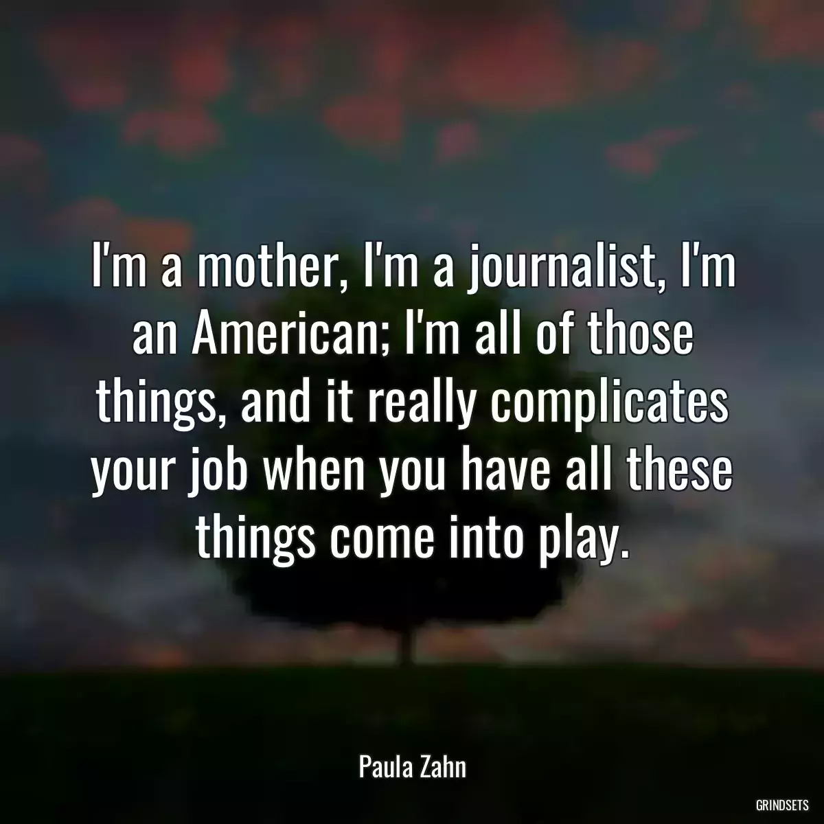 I\'m a mother, I\'m a journalist, I\'m an American; I\'m all of those things, and it really complicates your job when you have all these things come into play.