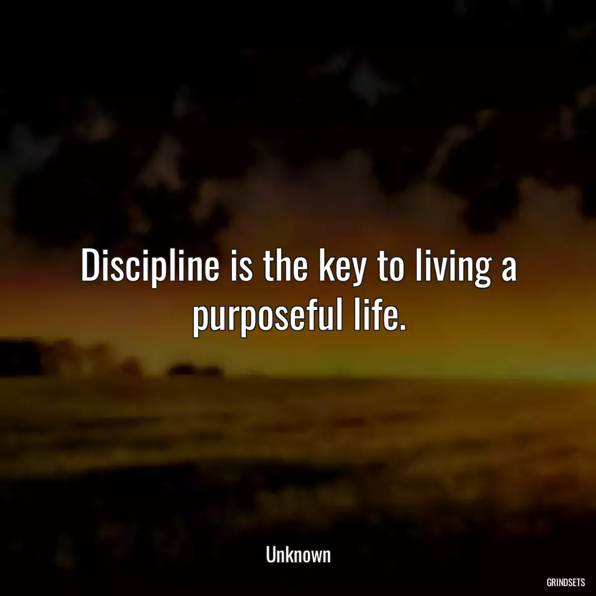 Discipline is the key to living a purposeful life.