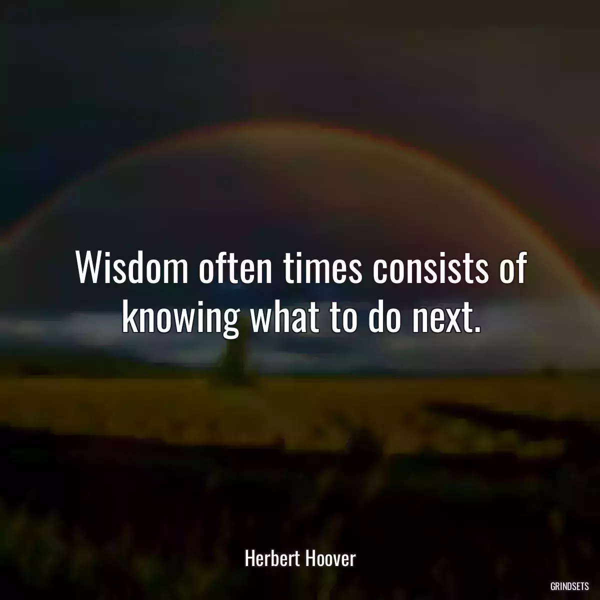 Wisdom often times consists of knowing what to do next.