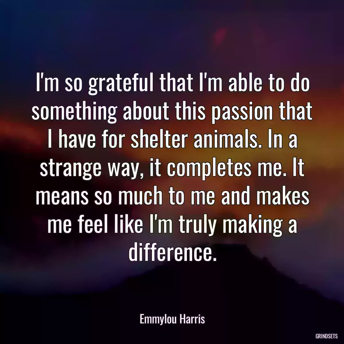 I\'m so grateful that I\'m able to do something about this passion that I have for shelter animals. In a strange way, it completes me. It means so much to me and makes me feel like I\'m truly making a difference.