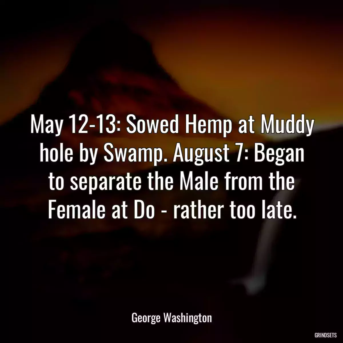 May 12-13: Sowed Hemp at Muddy hole by Swamp. August 7: Began to separate the Male from the Female at Do - rather too late.