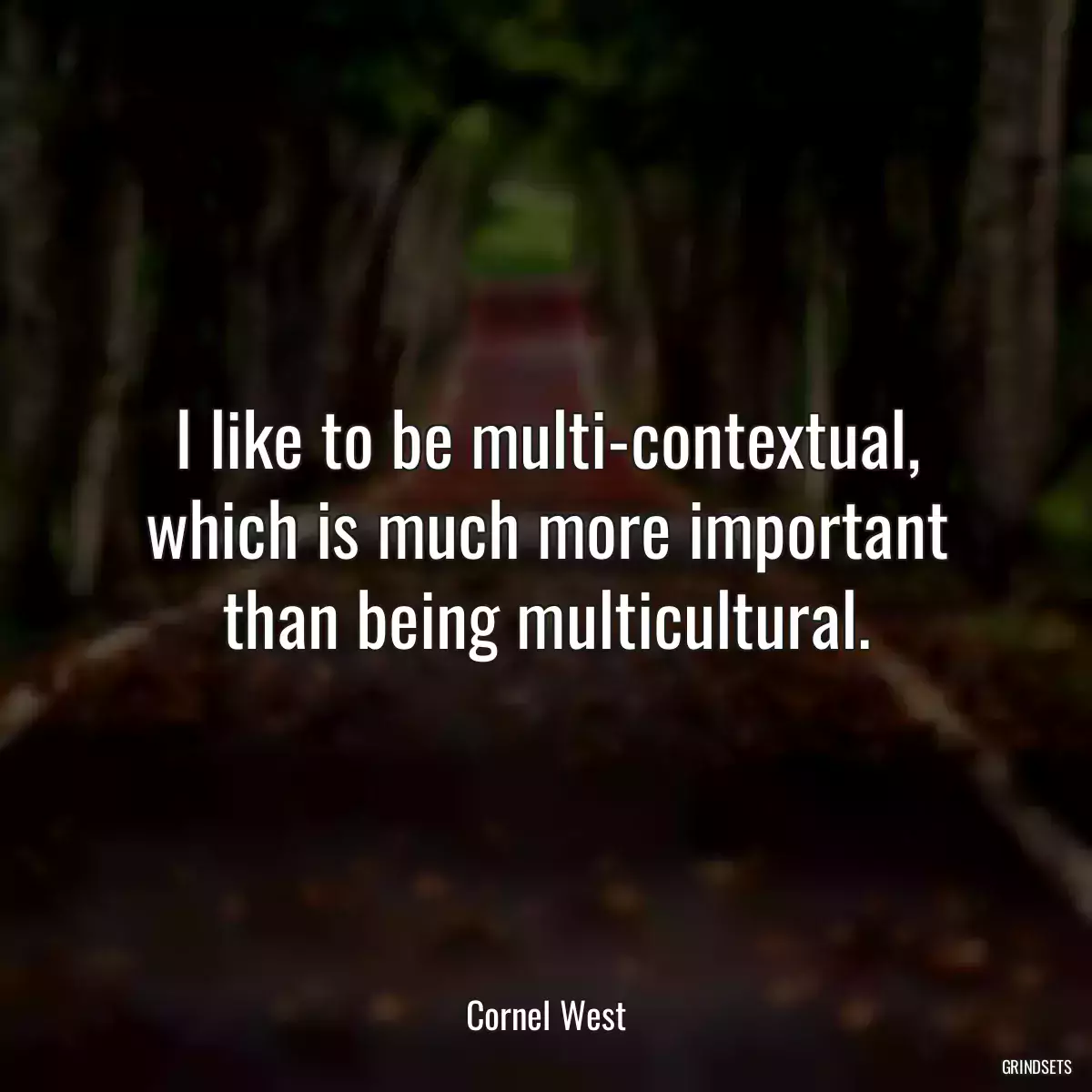 I like to be multi-contextual, which is much more important than being multicultural.