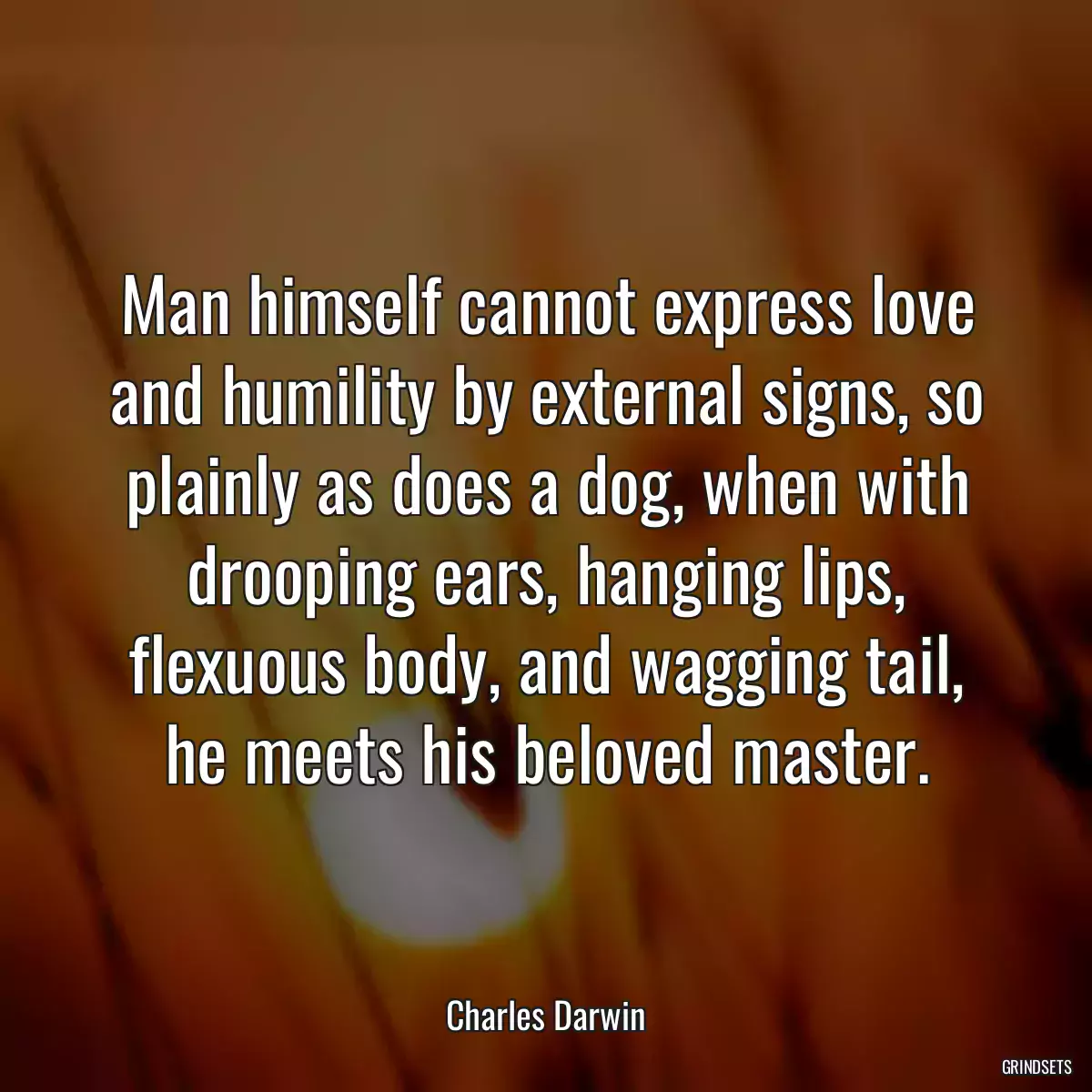 Man himself cannot express love and humility by external signs, so plainly as does a dog, when with drooping ears, hanging lips, flexuous body, and wagging tail, he meets his beloved master.