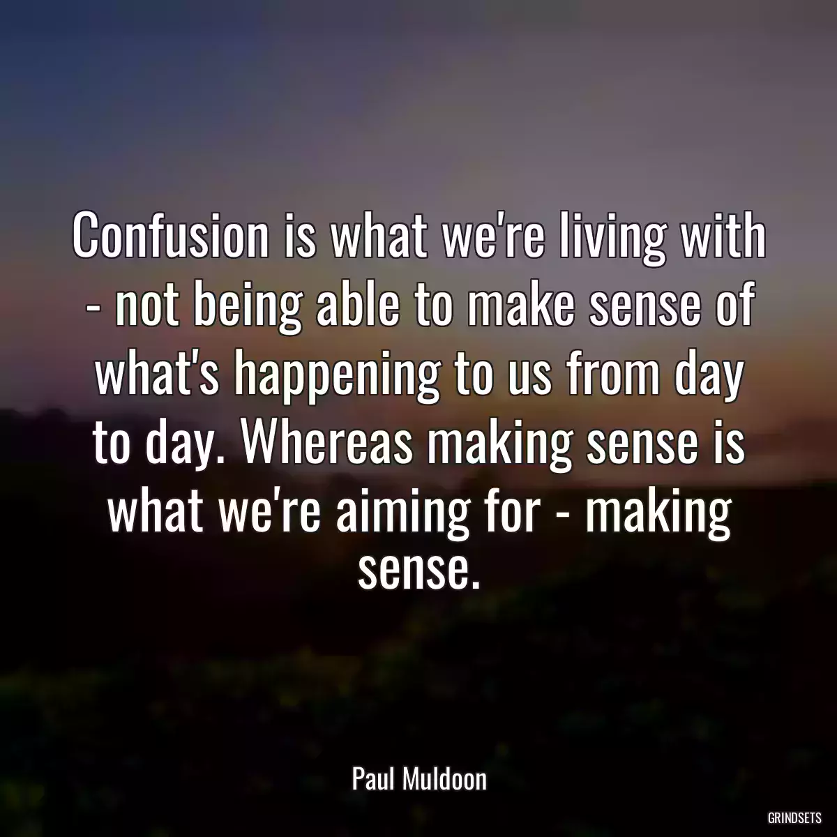 Confusion is what we\'re living with - not being able to make sense of what\'s happening to us from day to day. Whereas making sense is what we\'re aiming for - making sense.