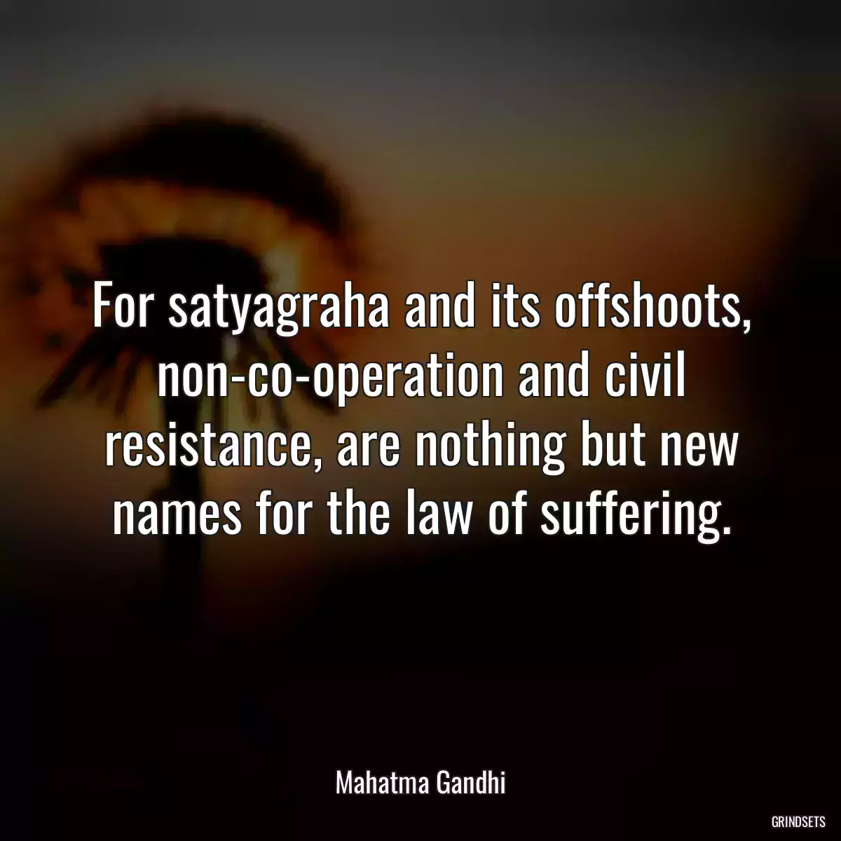 For satyagraha and its offshoots, non-co-operation and civil resistance, are nothing but new names for the law of suffering.