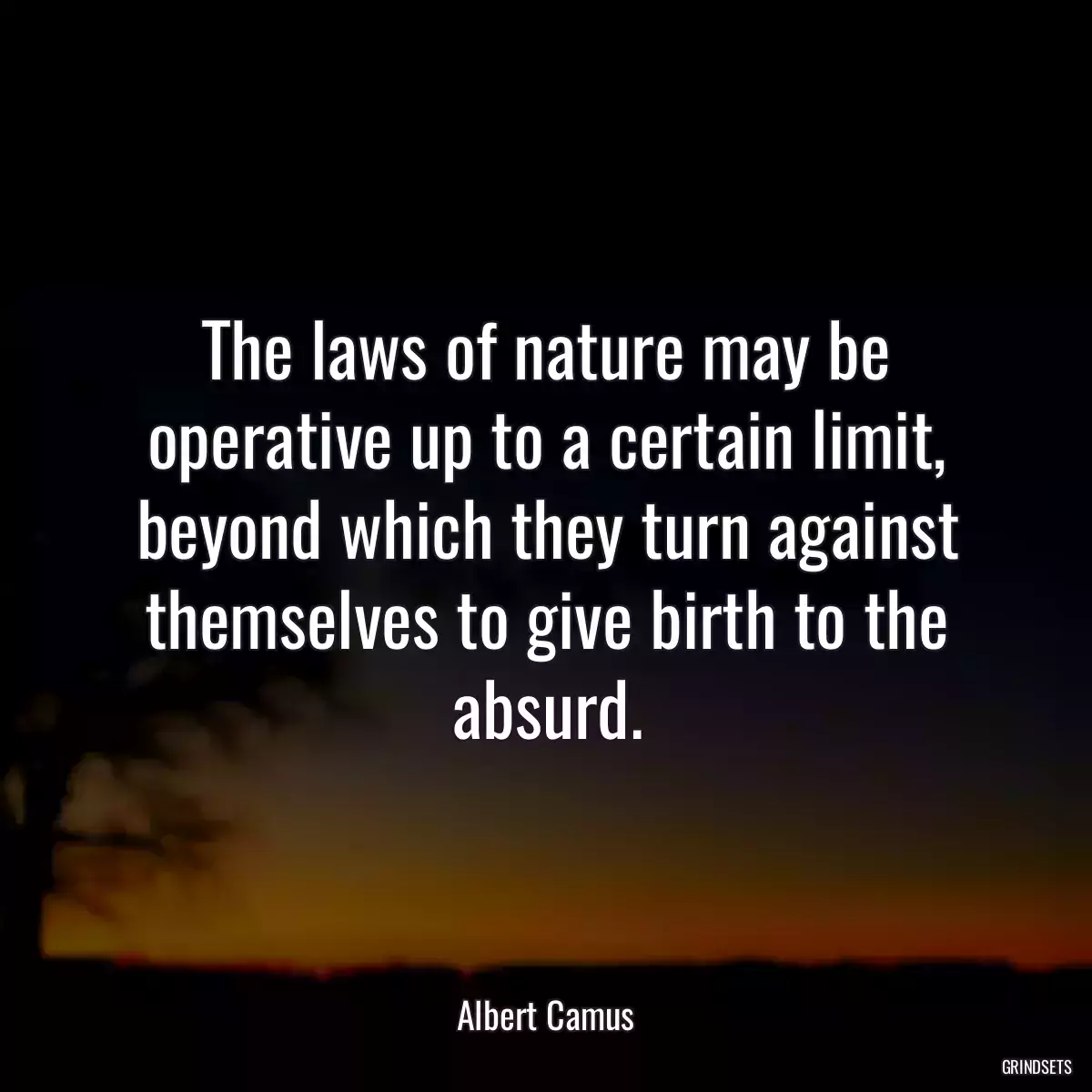 The laws of nature may be operative up to a certain limit, beyond which they turn against themselves to give birth to the absurd.