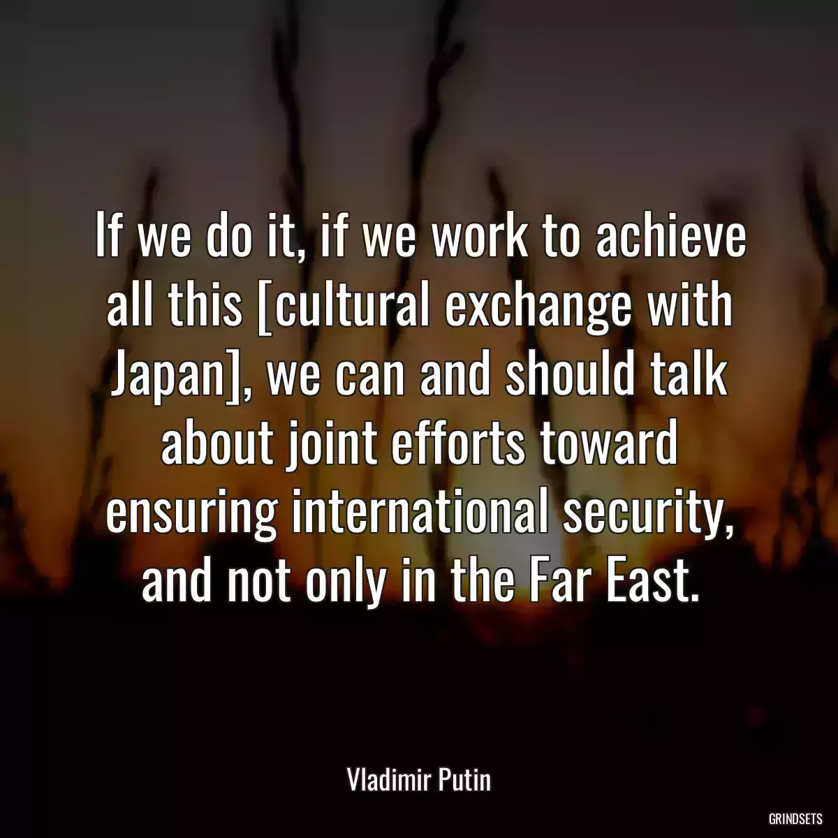 If we do it, if we work to achieve all this [cultural exchange with Japan], we can and should talk about joint efforts toward ensuring international security, and not only in the Far East.