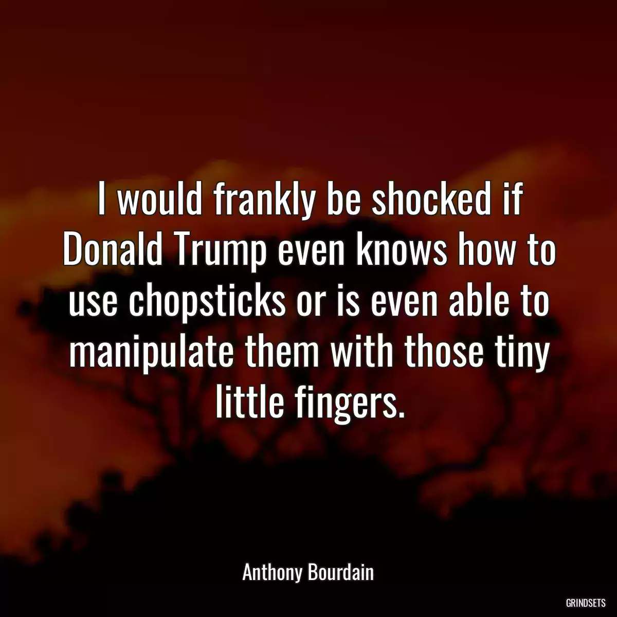 I would frankly be shocked if Donald Trump even knows how to use chopsticks or is even able to manipulate them with those tiny little fingers.