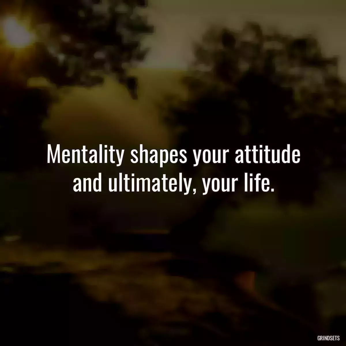 Mentality shapes your attitude and ultimately, your life.