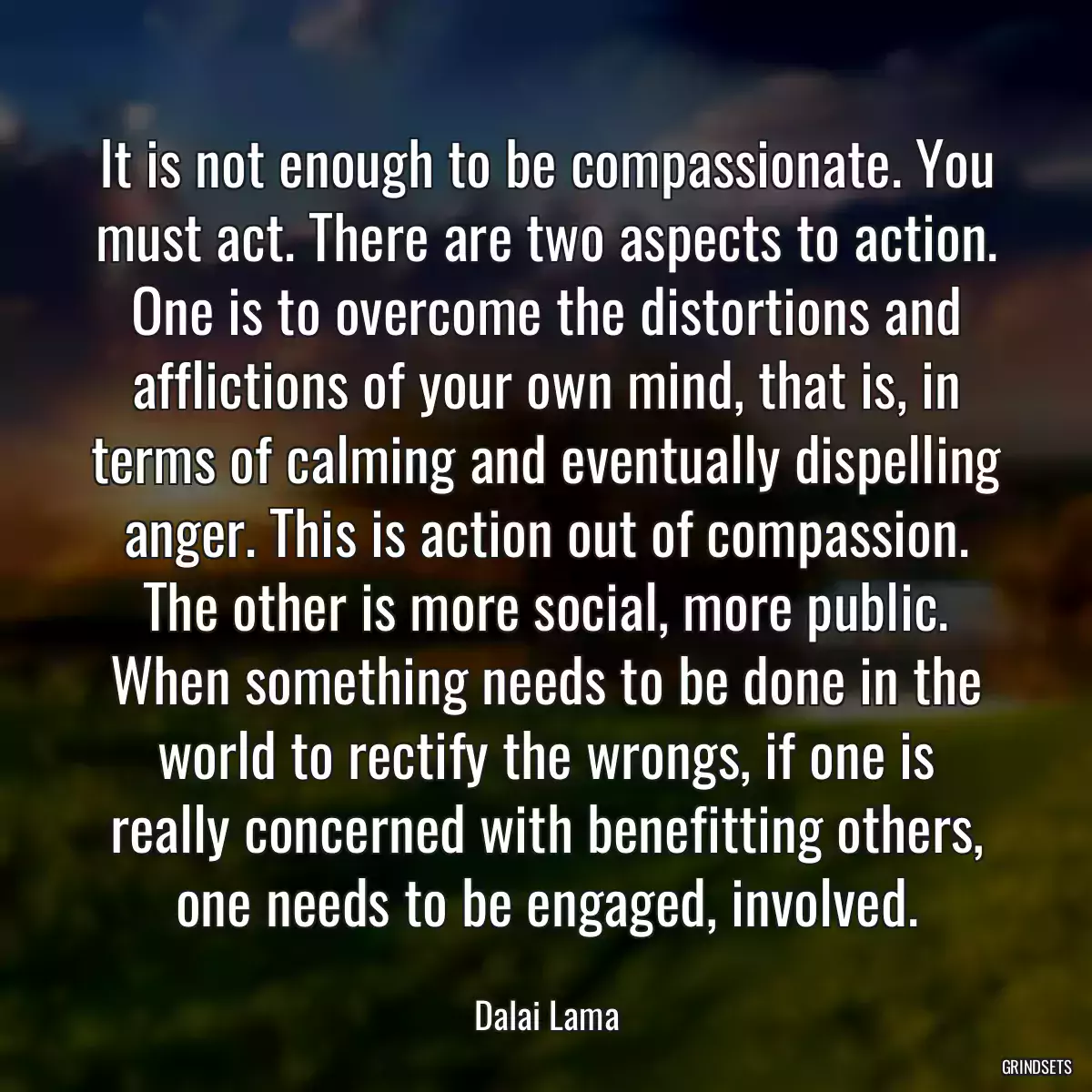 It is not enough to be compassionate. You must act. There are two aspects to action. One is to overcome the distortions and afflictions of your own mind, that is, in terms of calming and eventually dispelling anger. This is action out of compassion. The other is more social, more public. When something needs to be done in the world to rectify the wrongs, if one is really concerned with benefitting others, one needs to be engaged, involved.