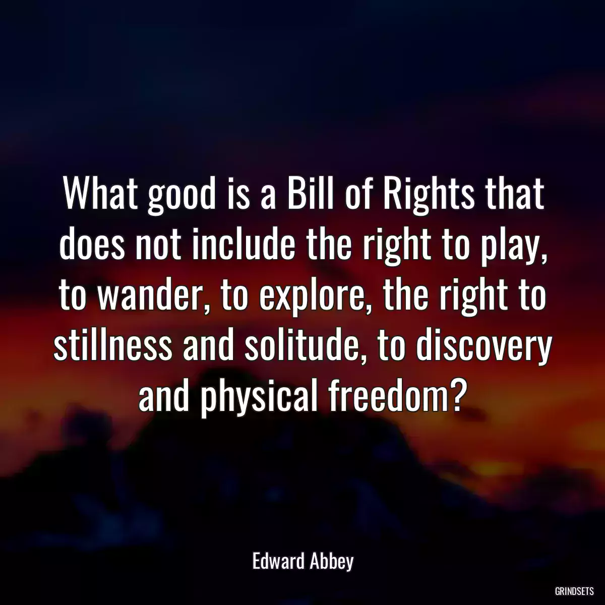 What good is a Bill of Rights that does not include the right to play, to wander, to explore, the right to stillness and solitude, to discovery and physical freedom?