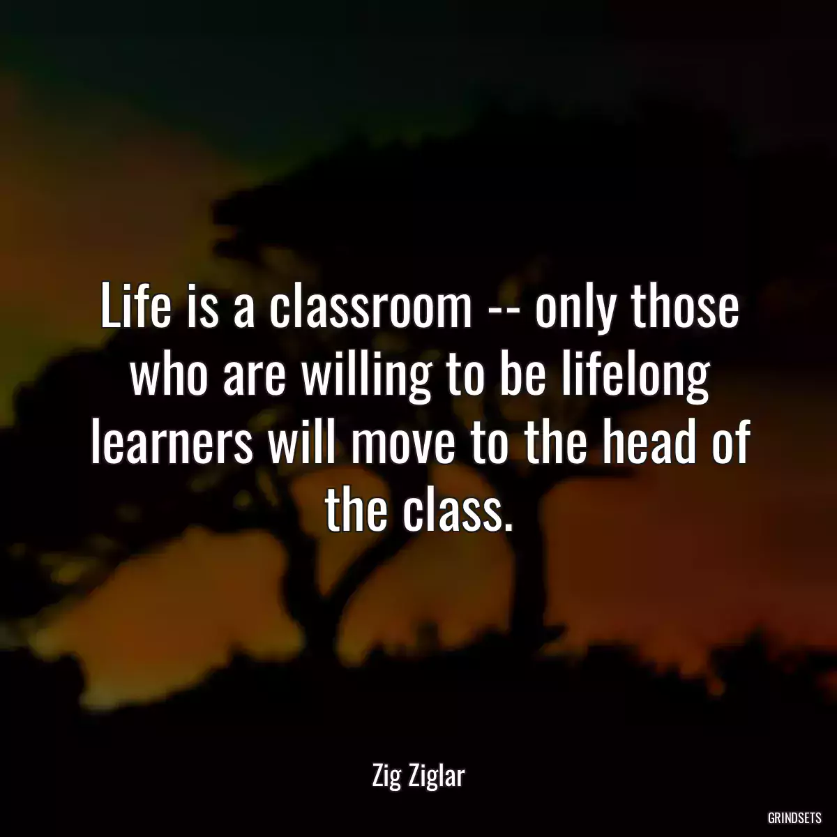 Life is a classroom -- only those who are willing to be lifelong learners will move to the head of the class.