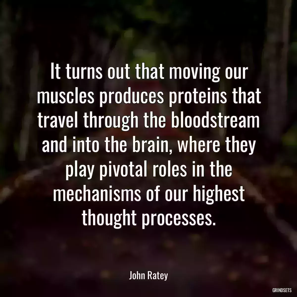 It turns out that moving our muscles produces proteins that travel through the bloodstream and into the brain, where they play pivotal roles in the mechanisms of our highest thought processes.