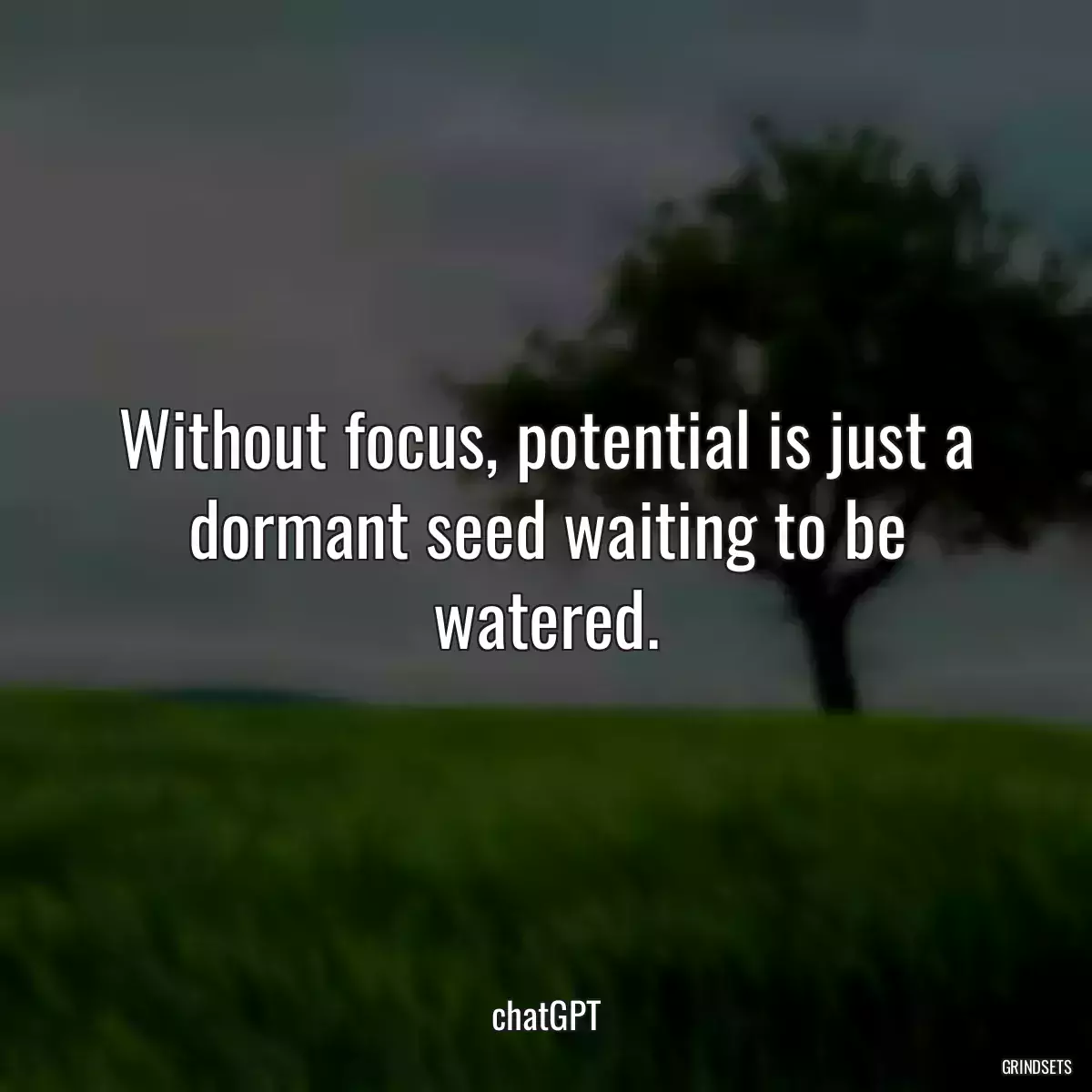 Without focus, potential is just a dormant seed waiting to be watered.