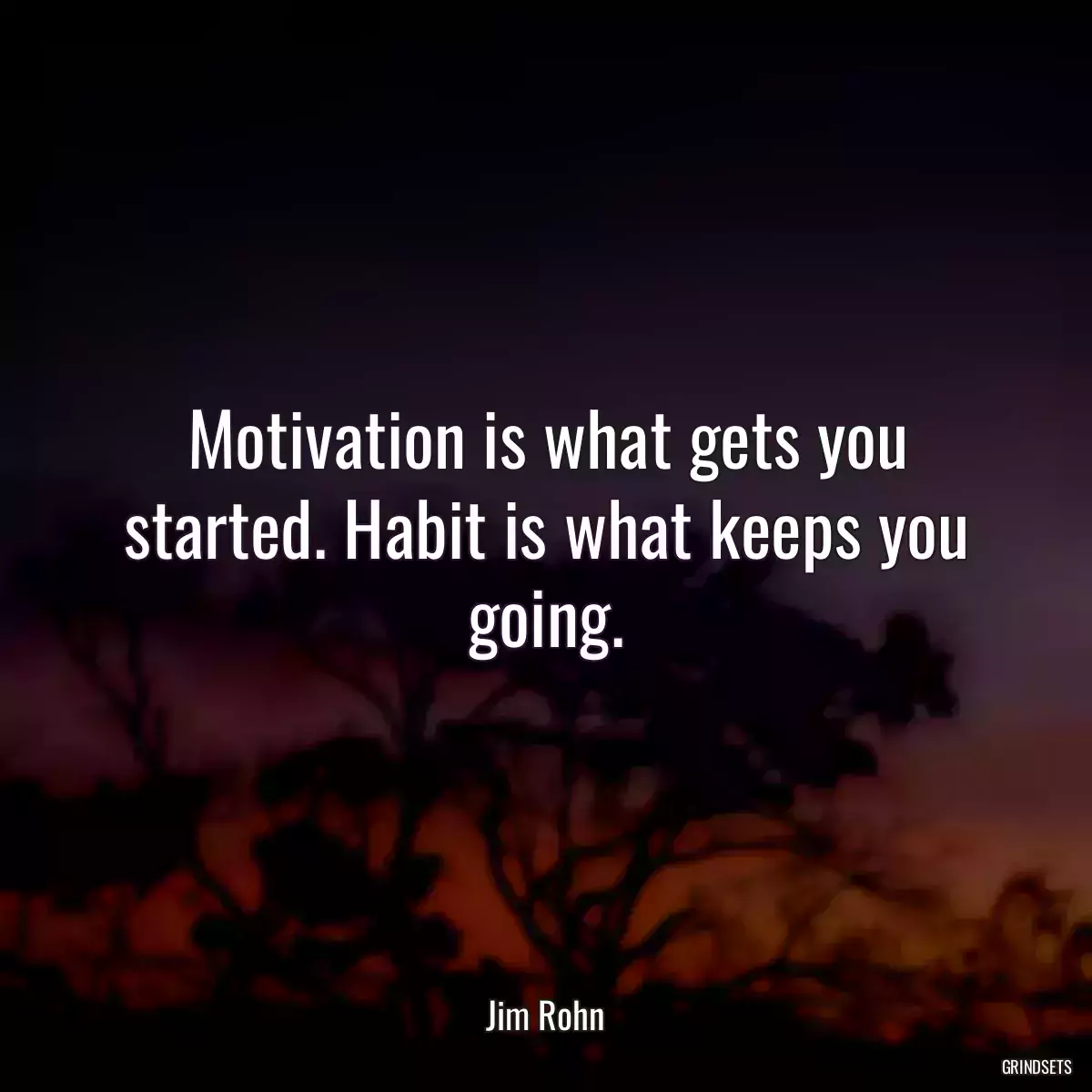 Motivation is what gets you started. Habit is what keeps you going.