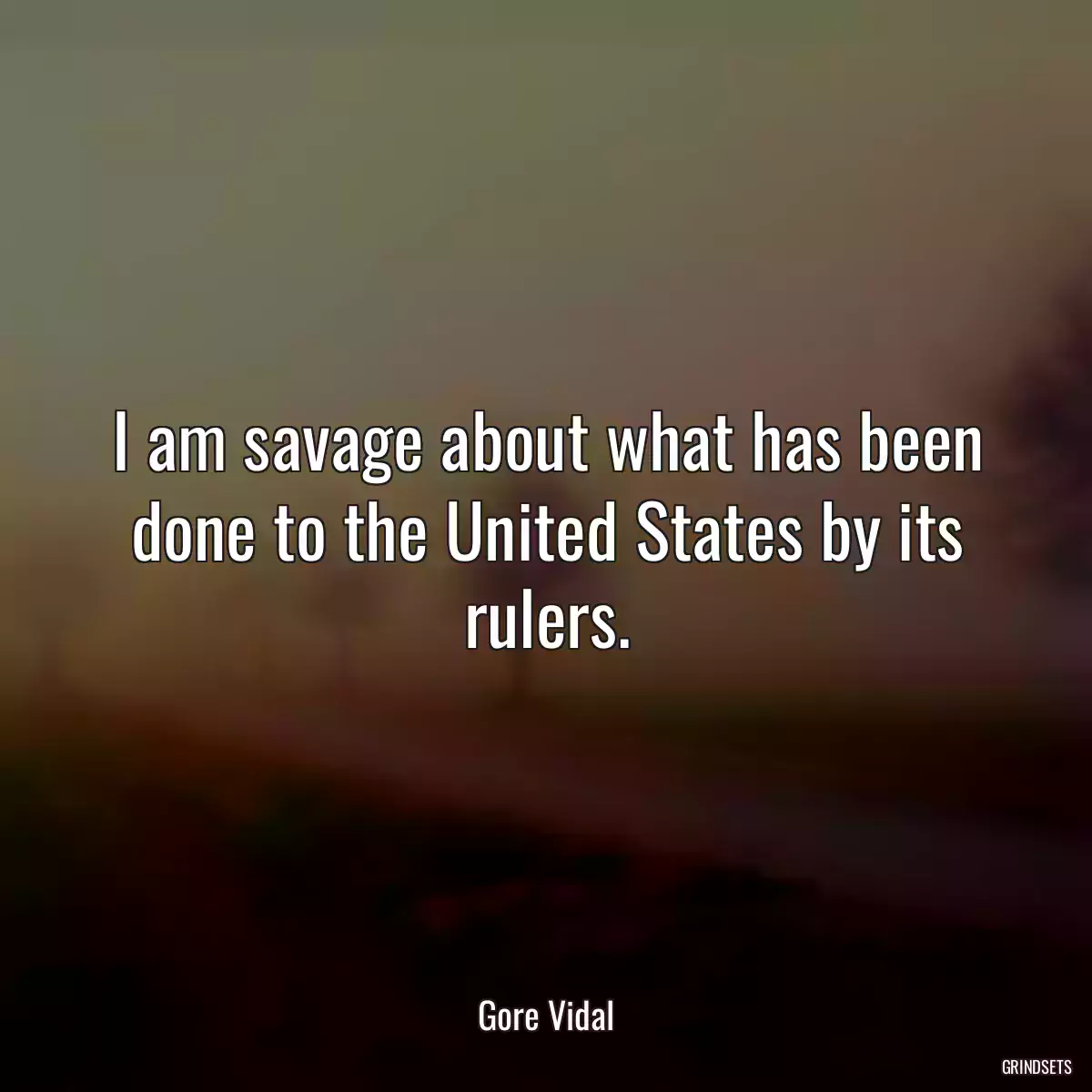 I am savage about what has been done to the United States by its rulers.