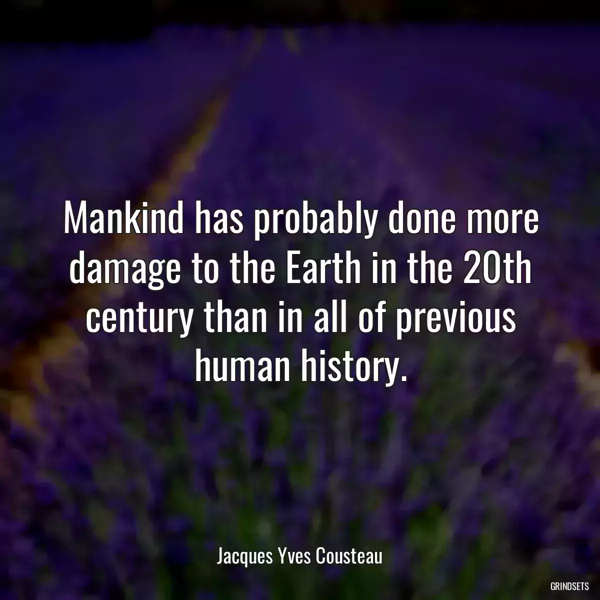 Mankind has probably done more damage to the Earth in the 20th century than in all of previous human history.