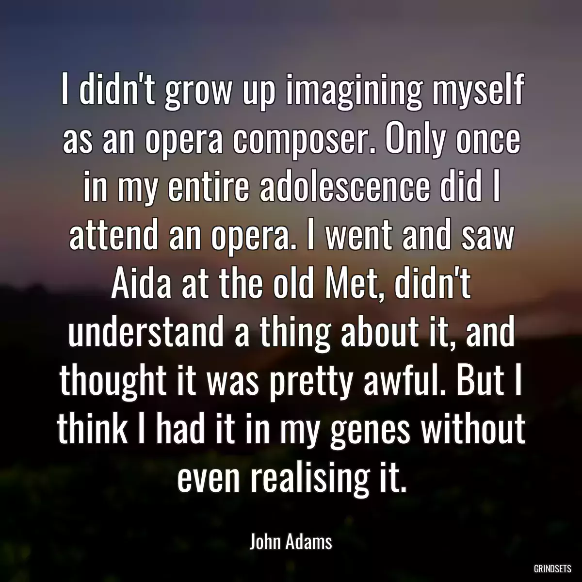 I didn\'t grow up imagining myself as an opera composer. Only once in my entire adolescence did I attend an opera. I went and saw Aida at the old Met, didn\'t understand a thing about it, and thought it was pretty awful. But I think I had it in my genes without even realising it.