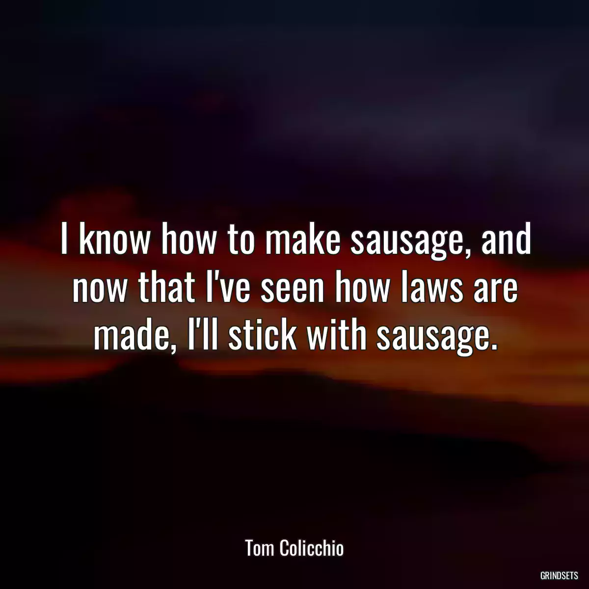 I know how to make sausage, and now that I\'ve seen how laws are made, I\'ll stick with sausage.