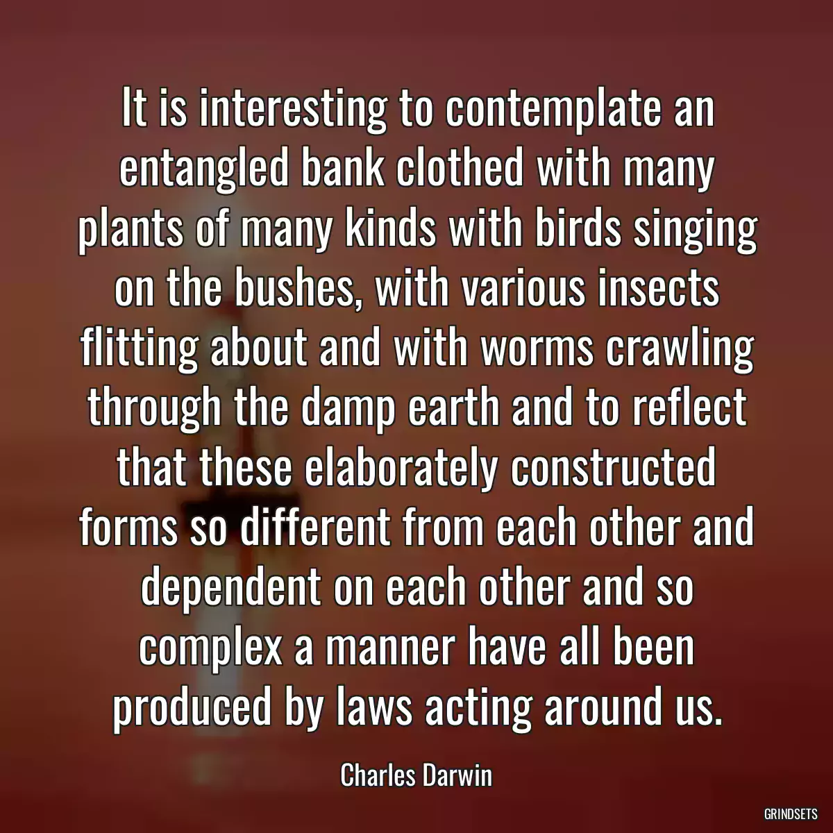 It is interesting to contemplate an entangled bank clothed with many plants of many kinds with birds singing on the bushes, with various insects flitting about and with worms crawling through the damp earth and to reflect that these elaborately constructed forms so different from each other and dependent on each other and so complex a manner have all been produced by laws acting around us.