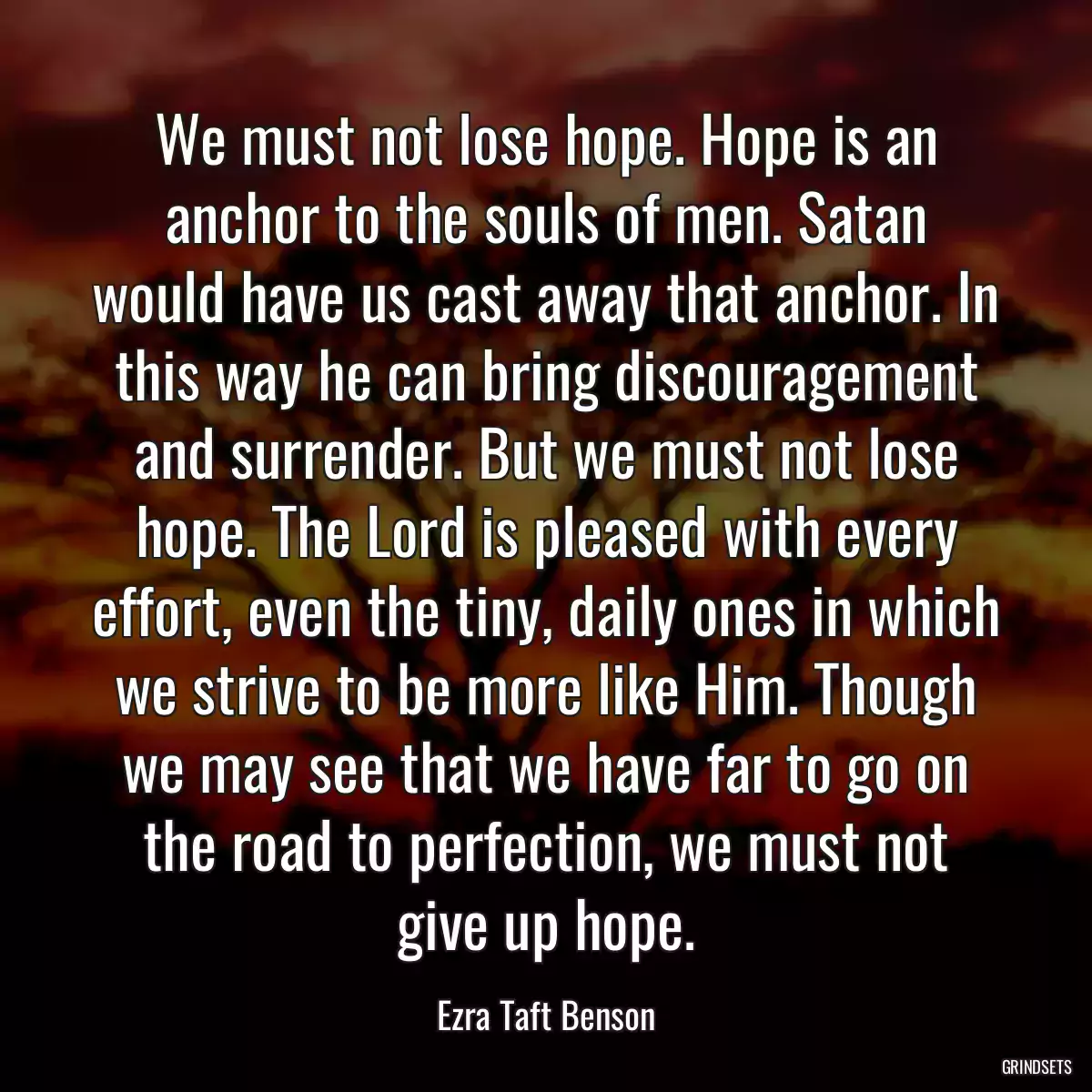 We must not lose hope. Hope is an anchor to the souls of men. Satan would have us cast away that anchor. In this way he can bring discouragement and surrender. But we must not lose hope. The Lord is pleased with every effort, even the tiny, daily ones in which we strive to be more like Him. Though we may see that we have far to go on the road to perfection, we must not give up hope.