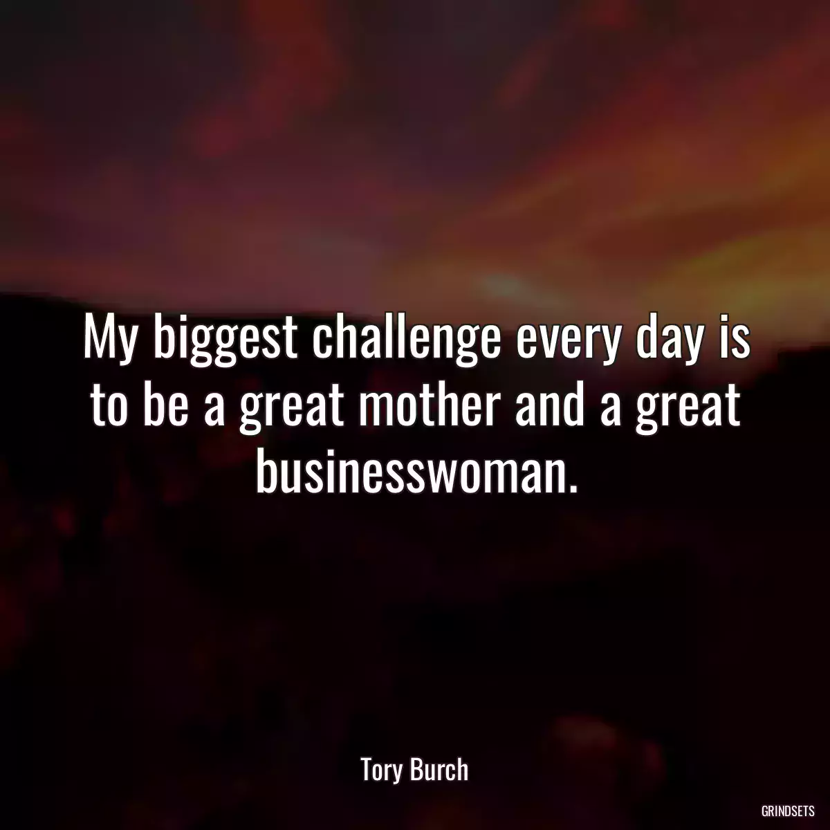 My biggest challenge every day is to be a great mother and a great businesswoman.