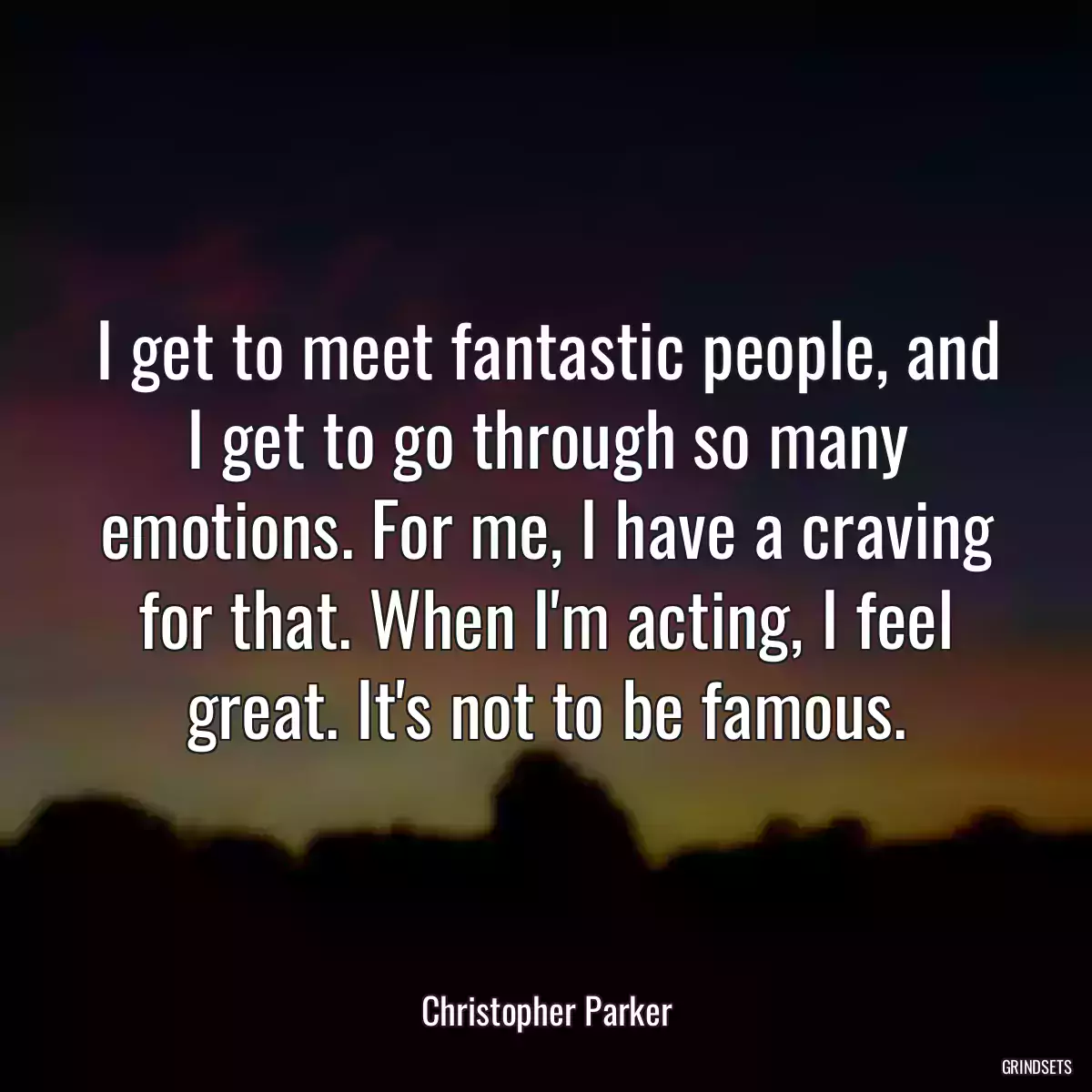 I get to meet fantastic people, and I get to go through so many emotions. For me, I have a craving for that. When I\'m acting, I feel great. It\'s not to be famous.